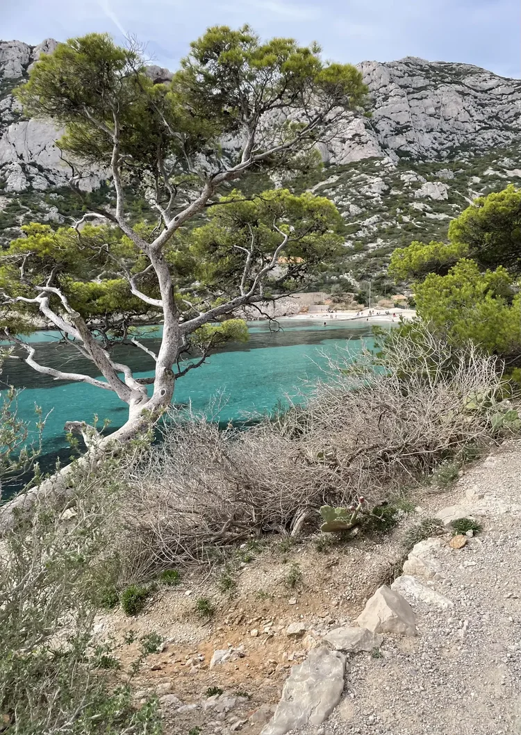 Vue sur une calanque pendant une excursion gravel avec Navia Mobility