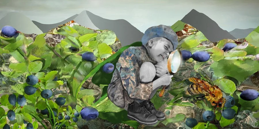 "Blåbærland"