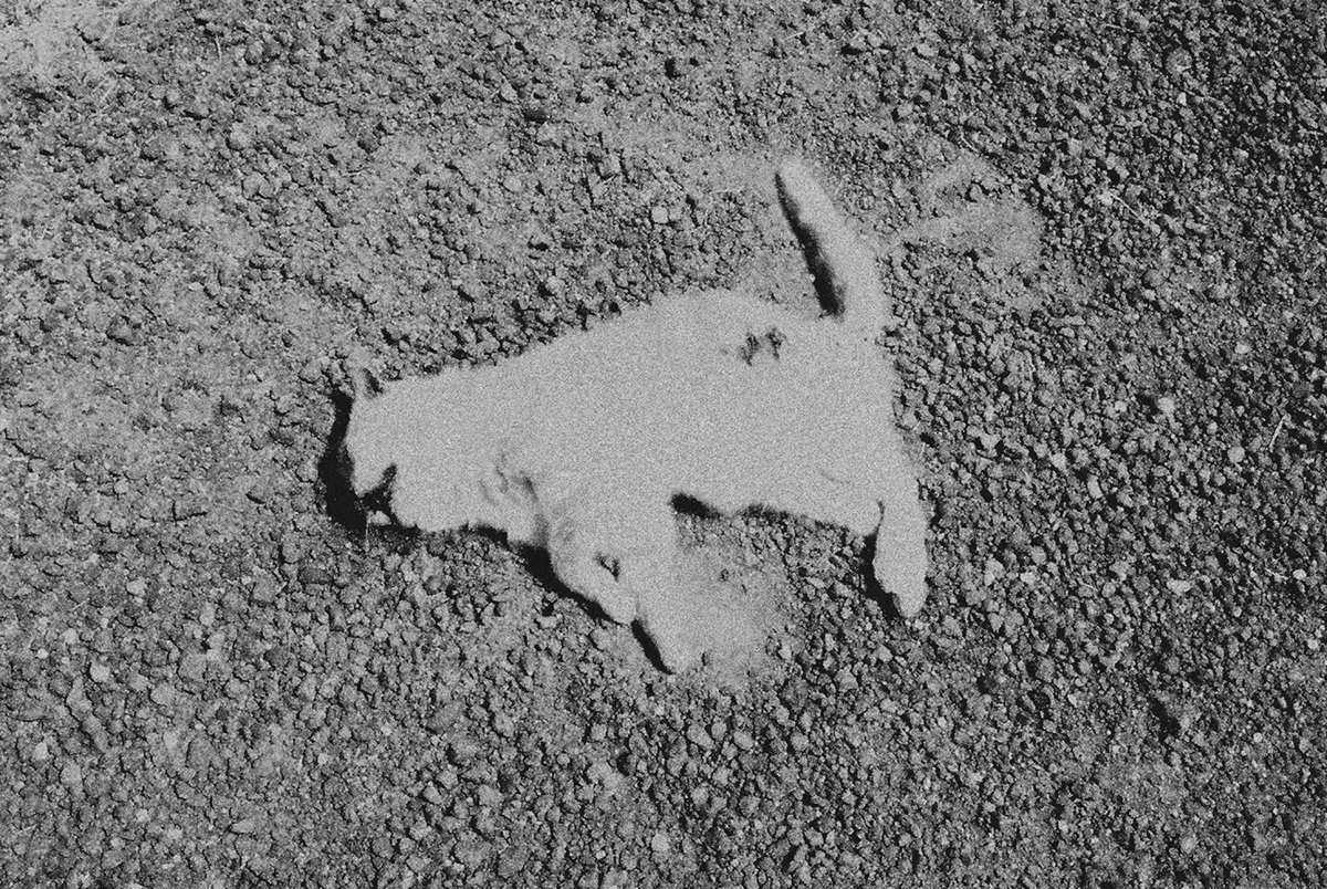 Olivia Mróz_ 11-48 - And My Body Filled With Concrete_016.jpg