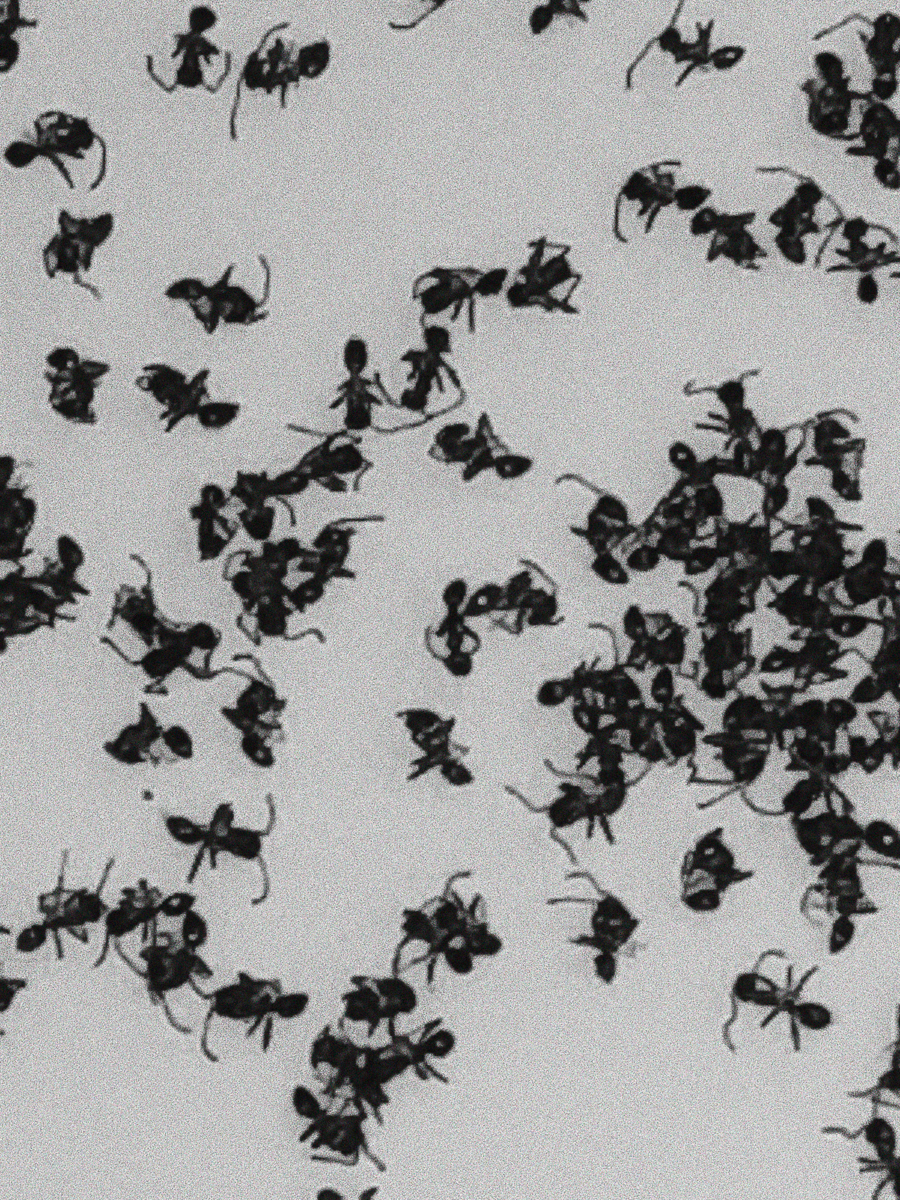 OLIVIA MRÒZ _ Ants Inside My Milk _0003.png