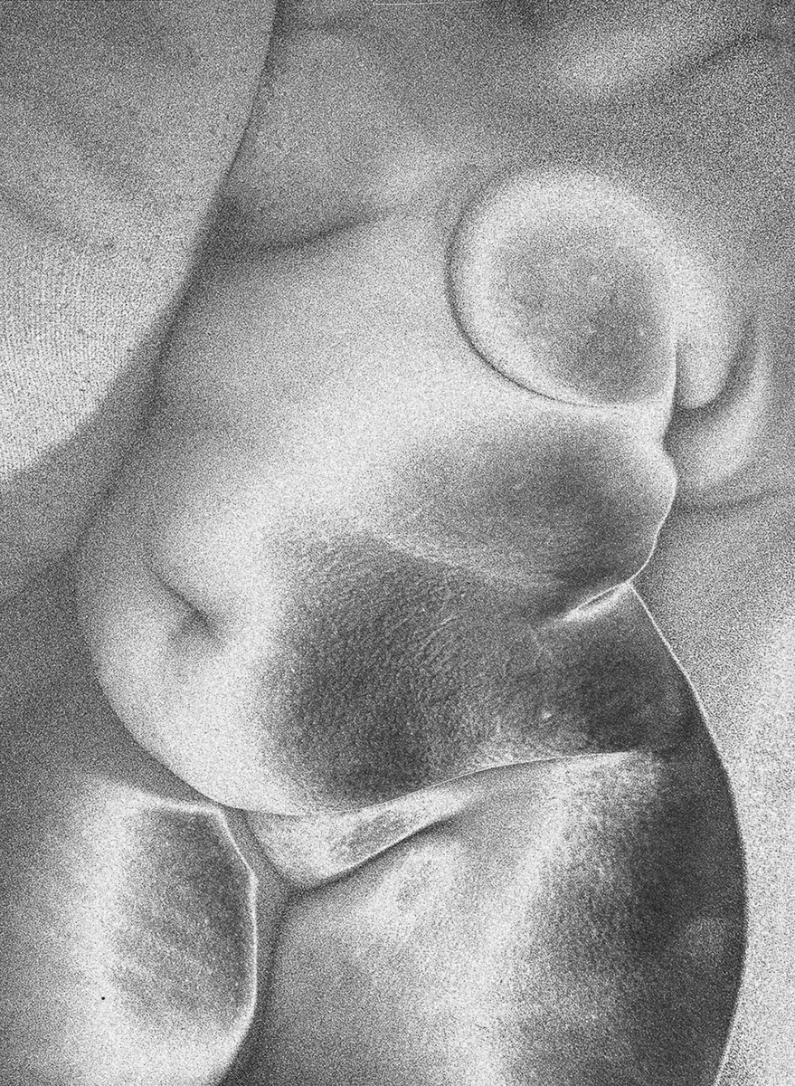 Olivia Mròz _ 011.png