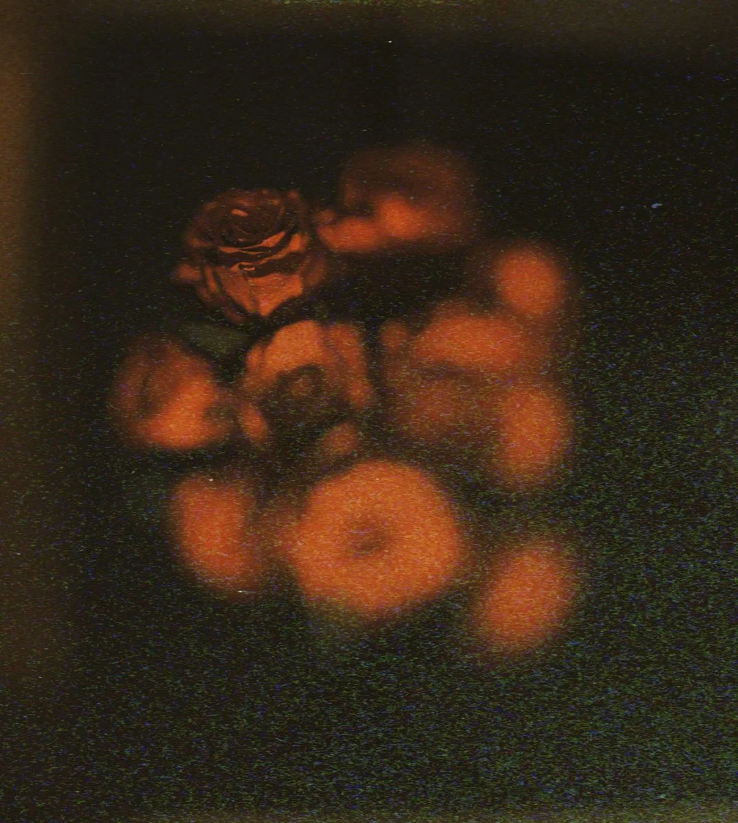 04. An Offering_Finally The Sun_Olivia Mròz.jpg