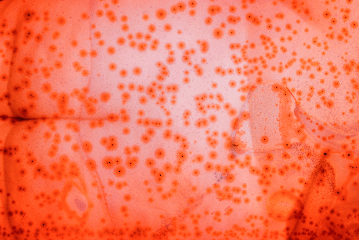 OLIVIA MROZ_11 48_005.png