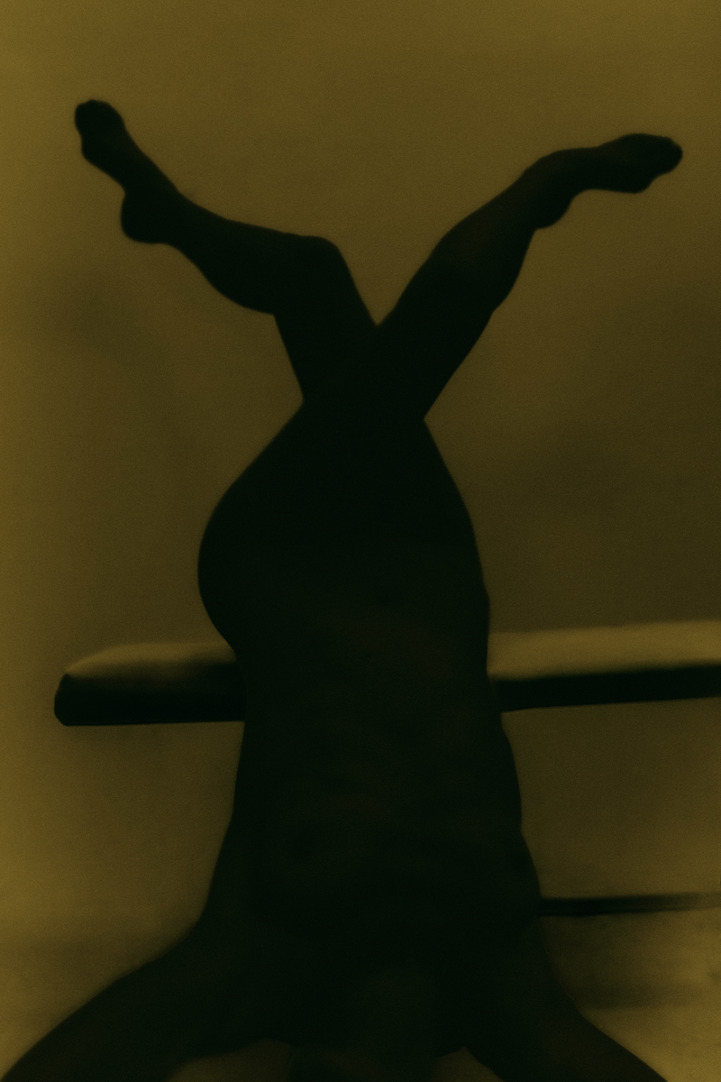 Where the Fire Hides-Olivia Mròz-6.png