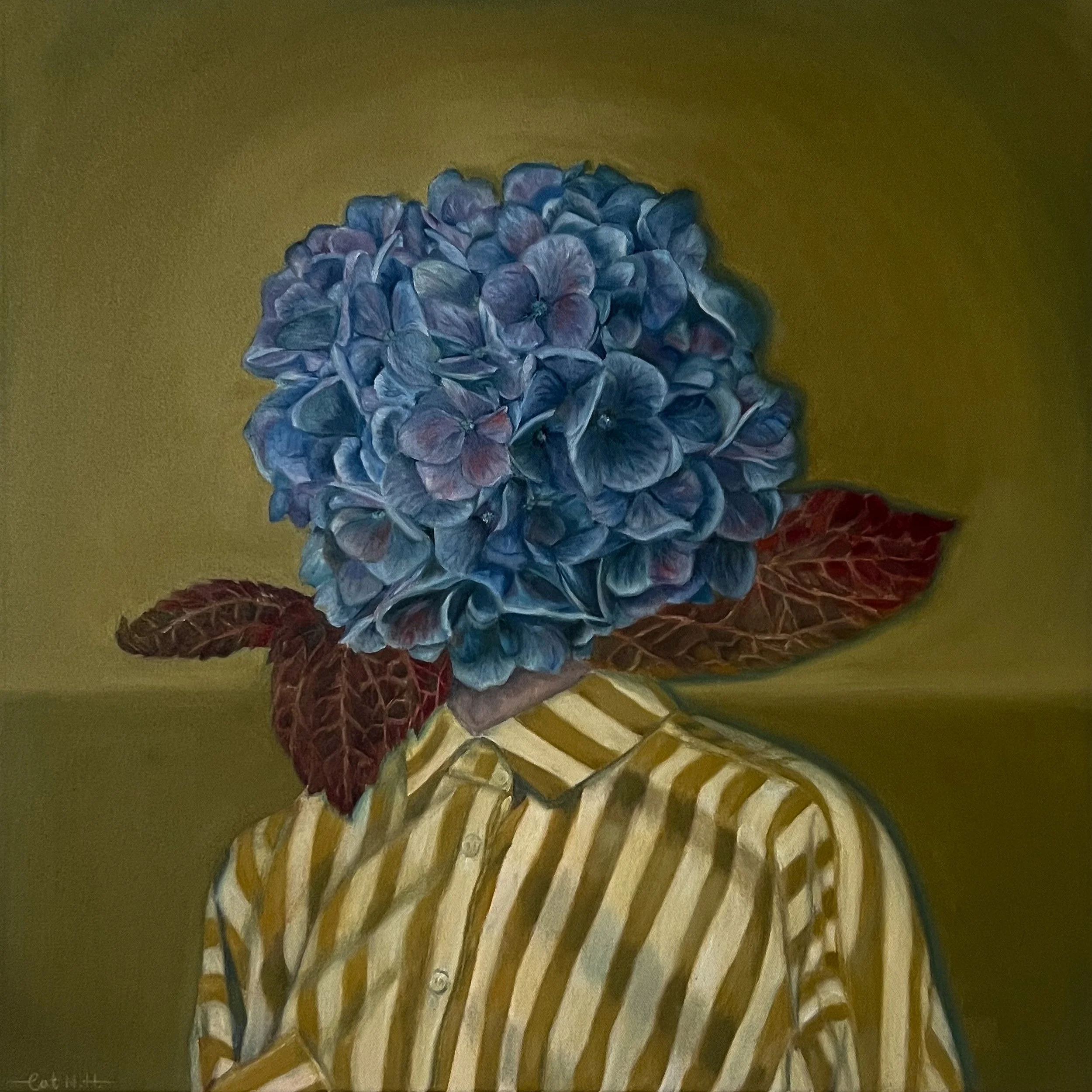 Wallflower, 2024 · oil on cotton · 50cm x 50cm · sold · National emerging art prize finalist