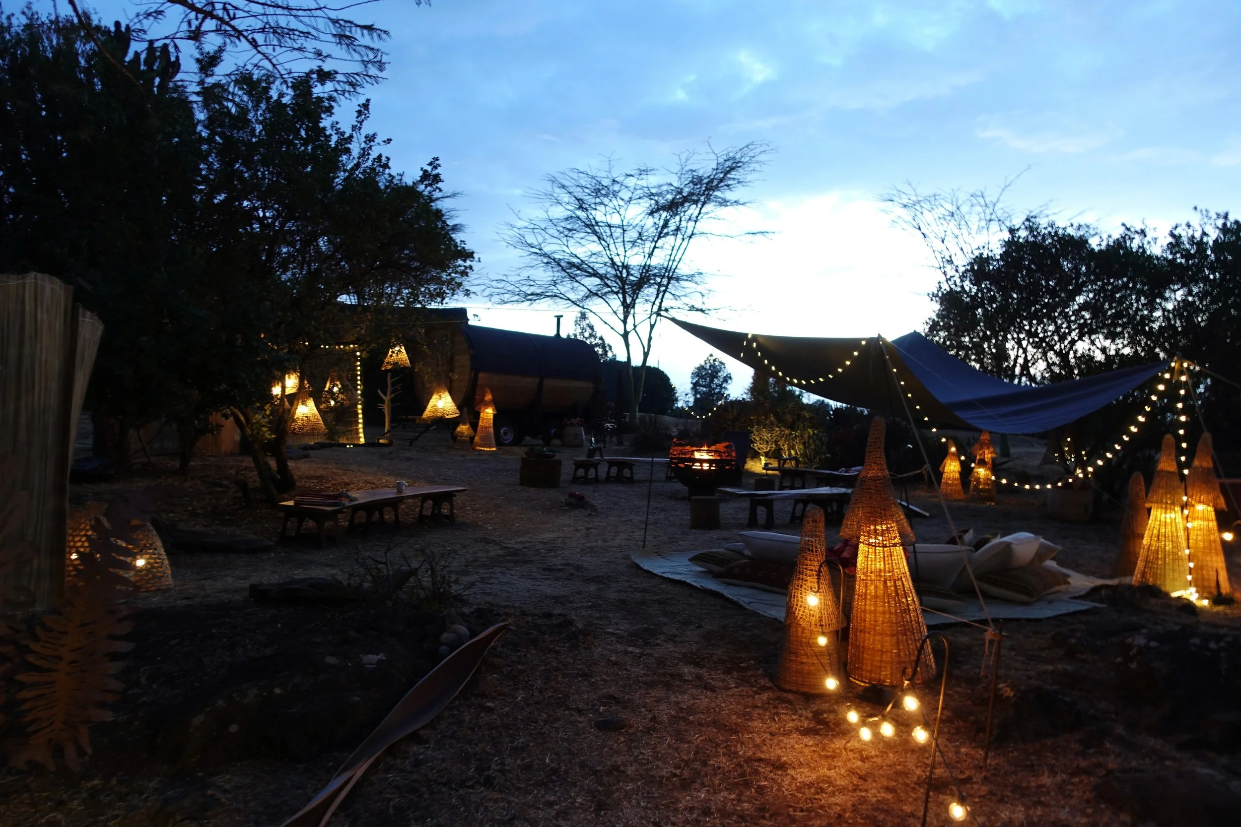 An outdoor scene at dusk with trees, illuminated lanterns, and string lights creating a cozy atmosphere for a gathering or event.