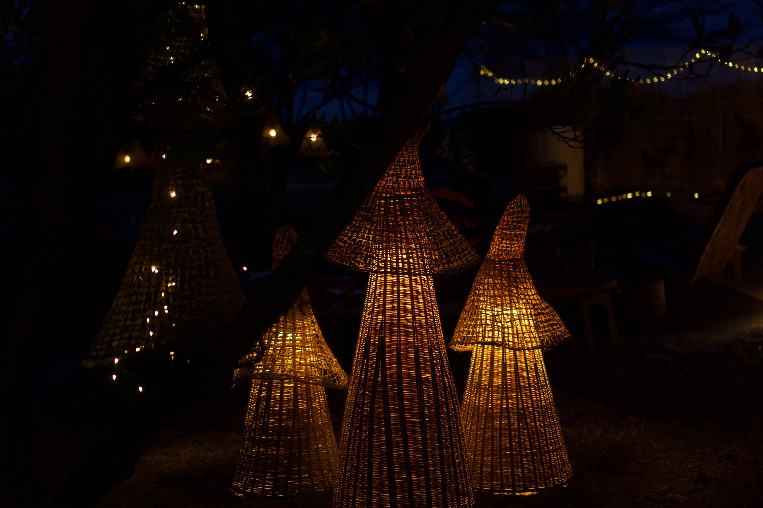 Nighttime scene with illuminated wicker or rattan cone-shaped lanterns hanging from trees, creating a warm glow in a dark outdoor setting.