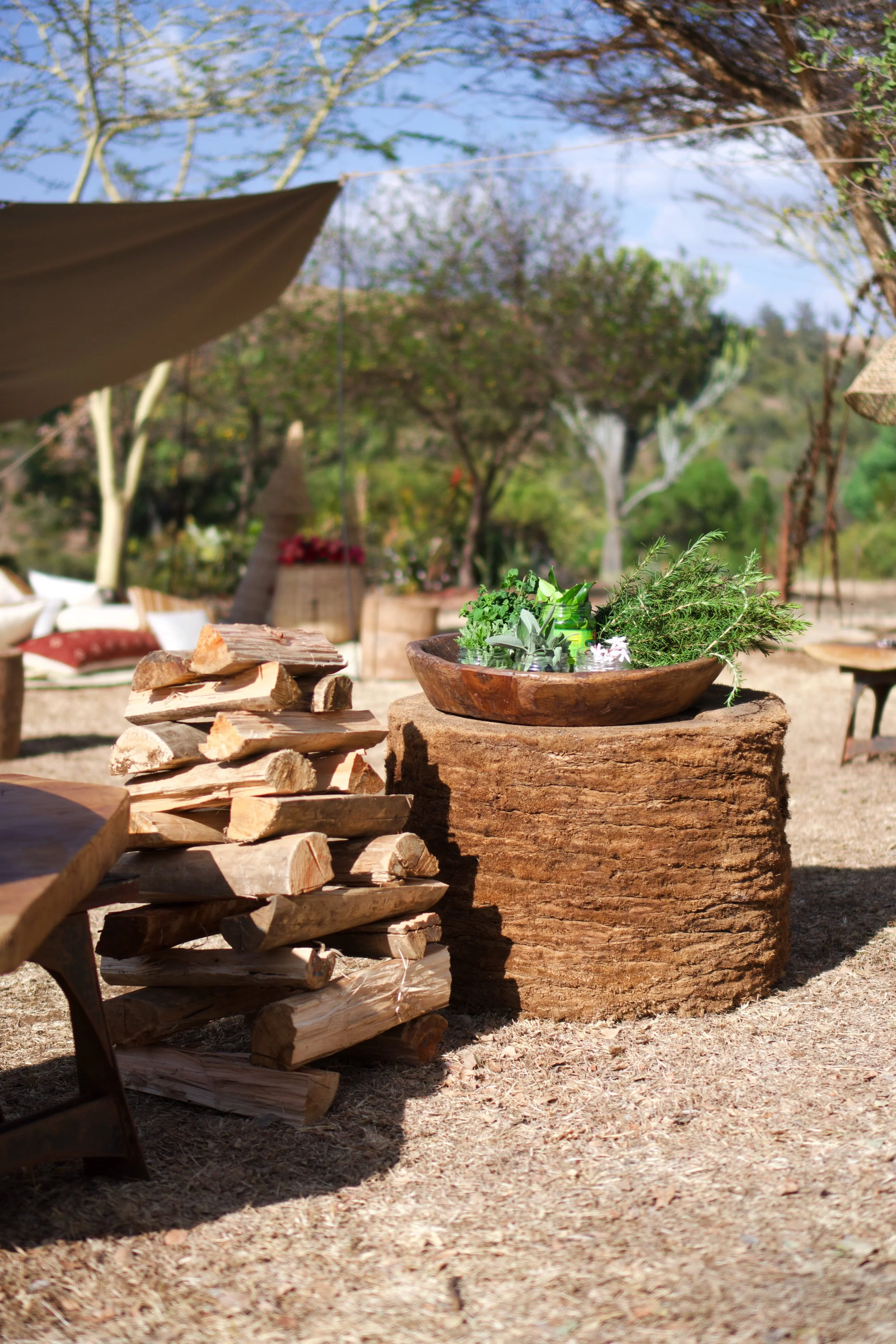 Wooden bowl filled with various herbs and small flowers placed on a large tree trunk outdoors, with a woodpile to the left and a natural outdoor setting with trees and blue sky in the background.