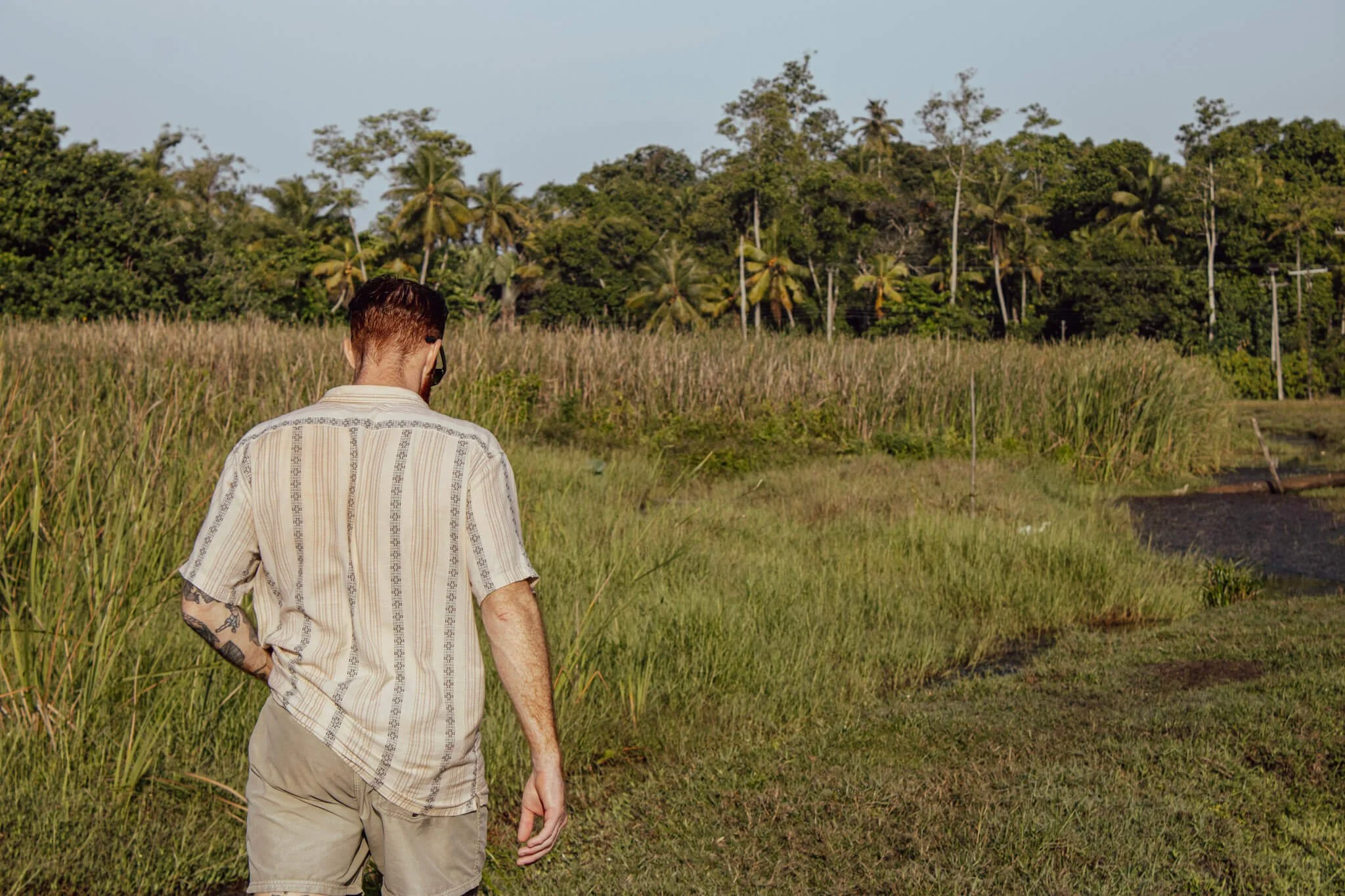Cam Springett, online sobriety and performance coach, standing back to camera at the edge of a waterlogged paddy field in Ahangama, Sri Lanka, wearing a linen shirt and shorts with a tattoo visible on his left arm.