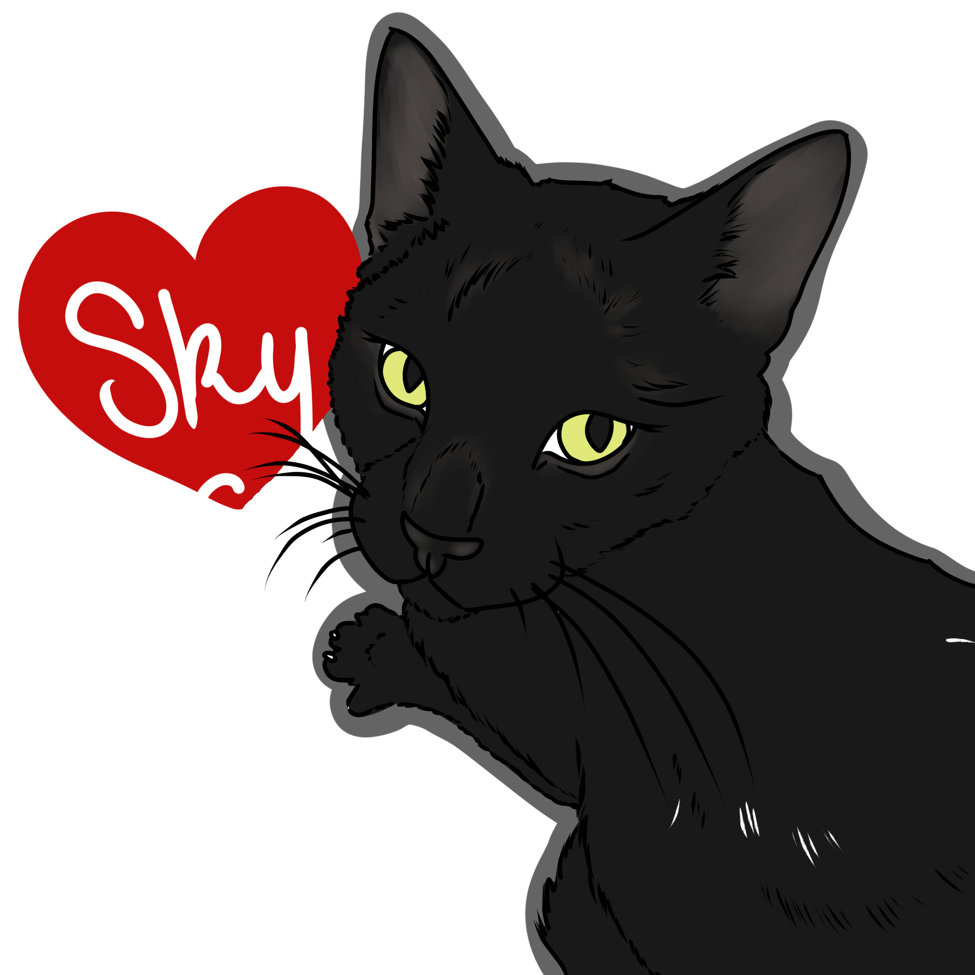 sky kitty 2.png