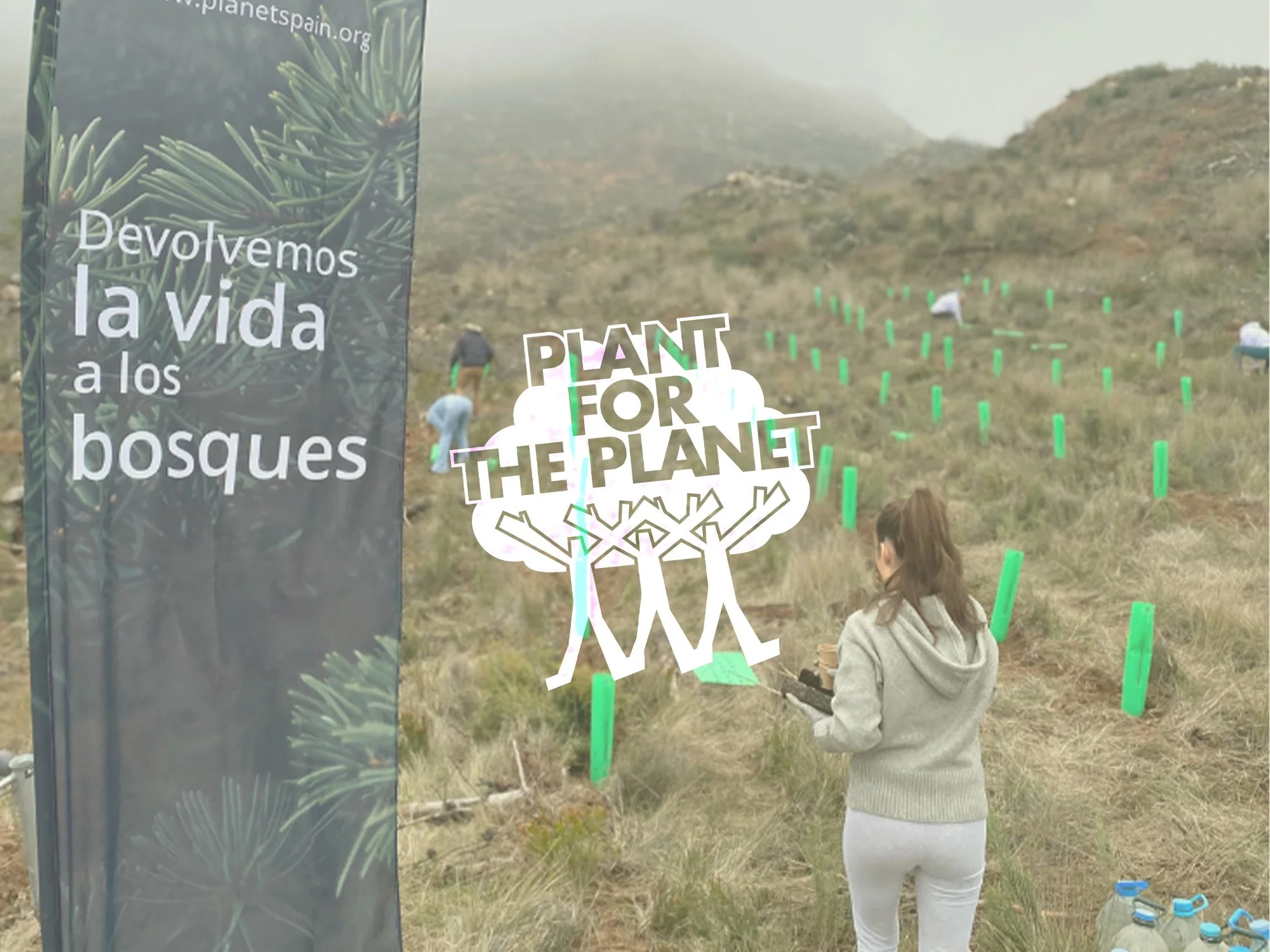 Cartel que dice "Devolvemos la vida a los bosques" con fondo de una plantación de árboles jóvenes en un paisaje montañoso y personas plantando árboles.