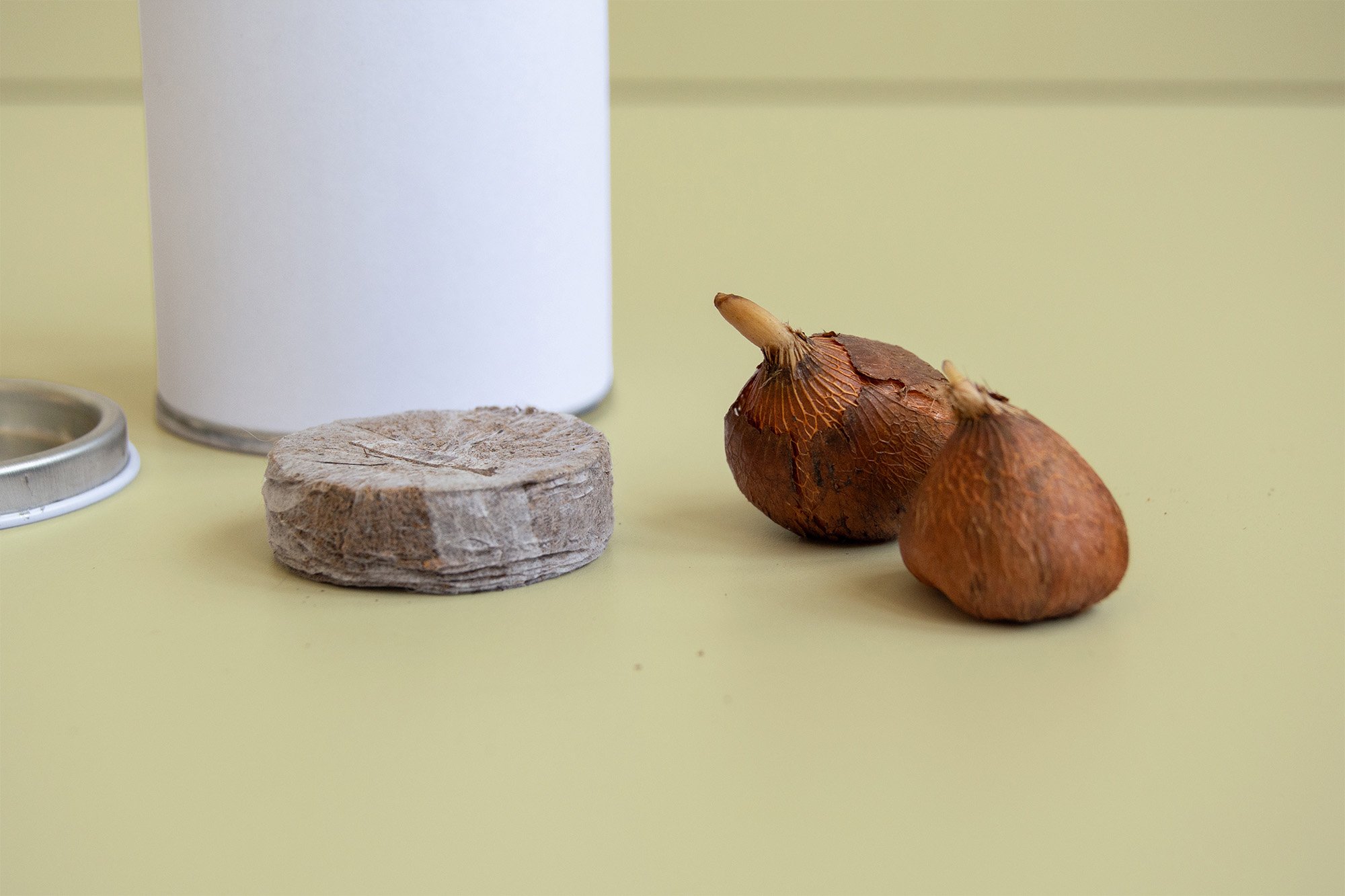 seedcan_3.jpg