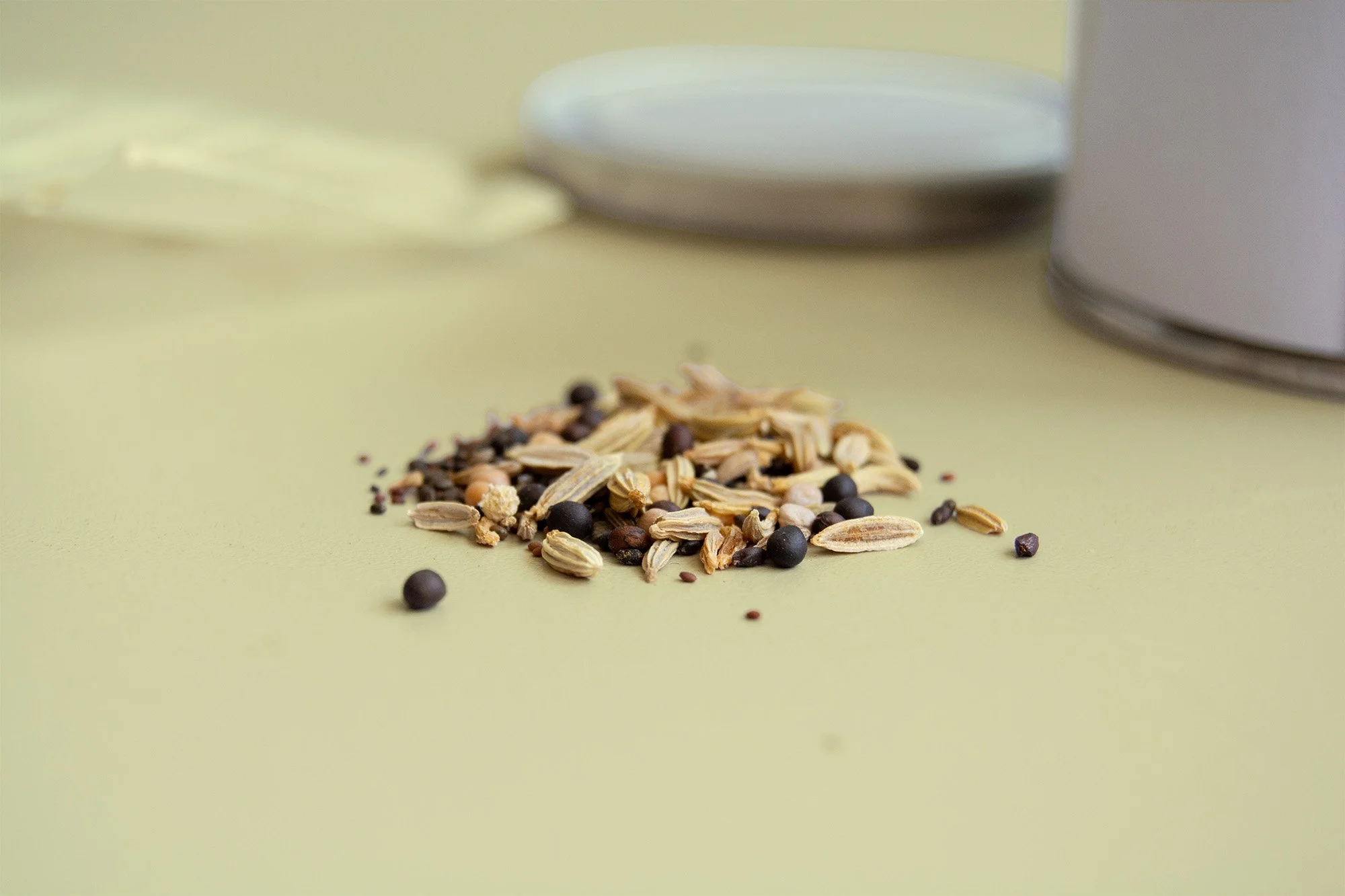 seedcan_7.jpg