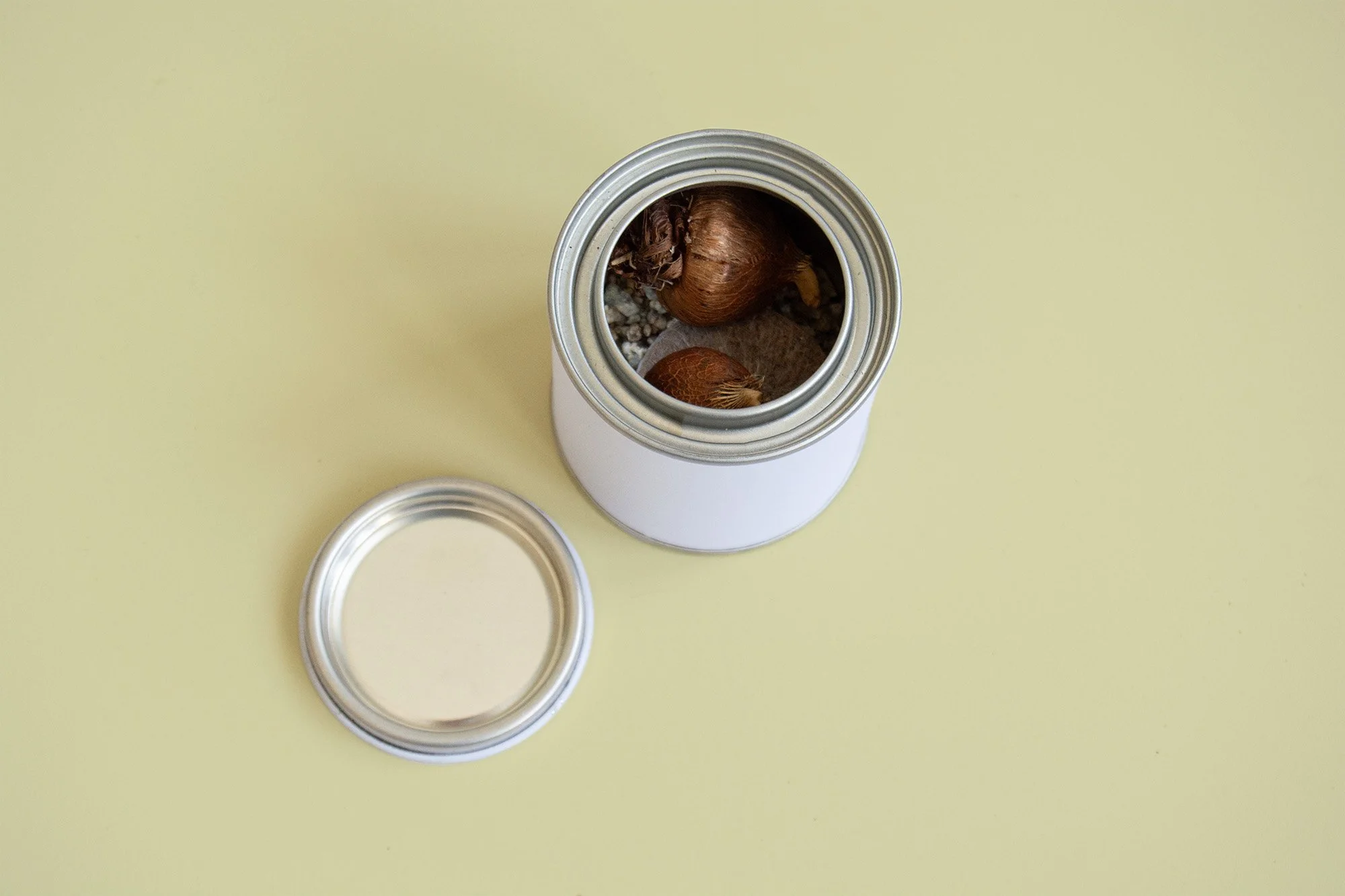 seedcan_1.jpg