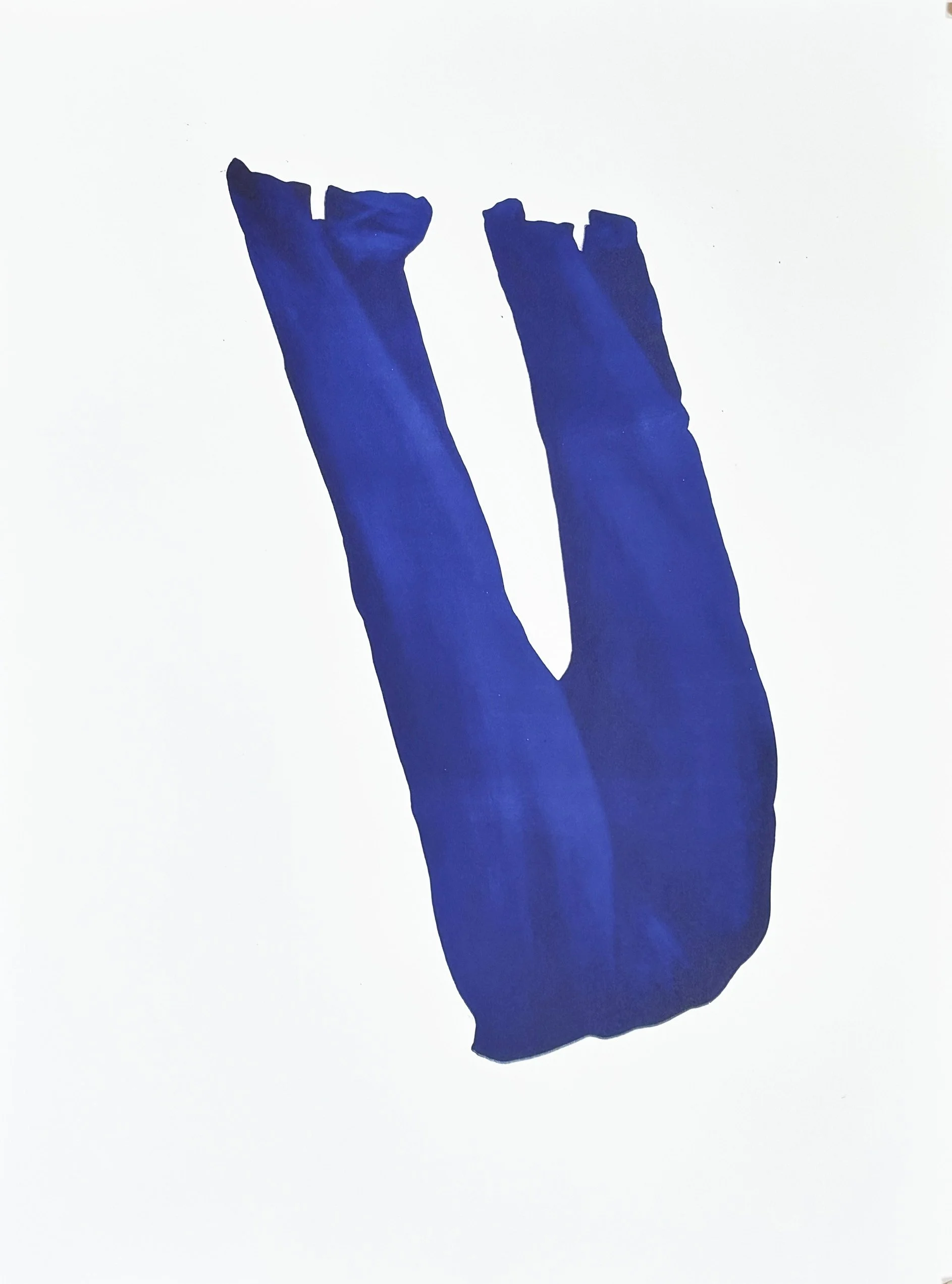 pantalon.jpg