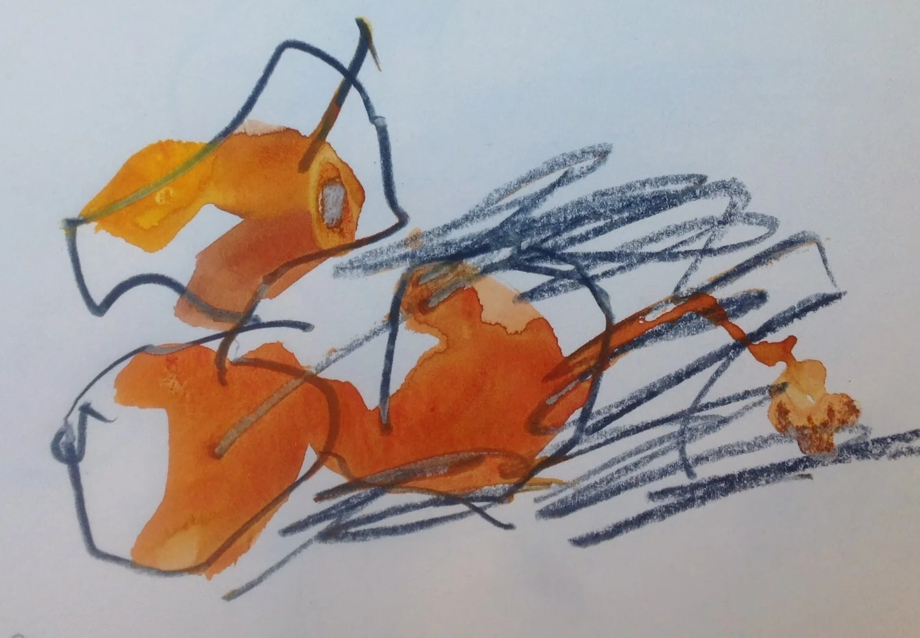 Painting by Audrey Amiss of onions