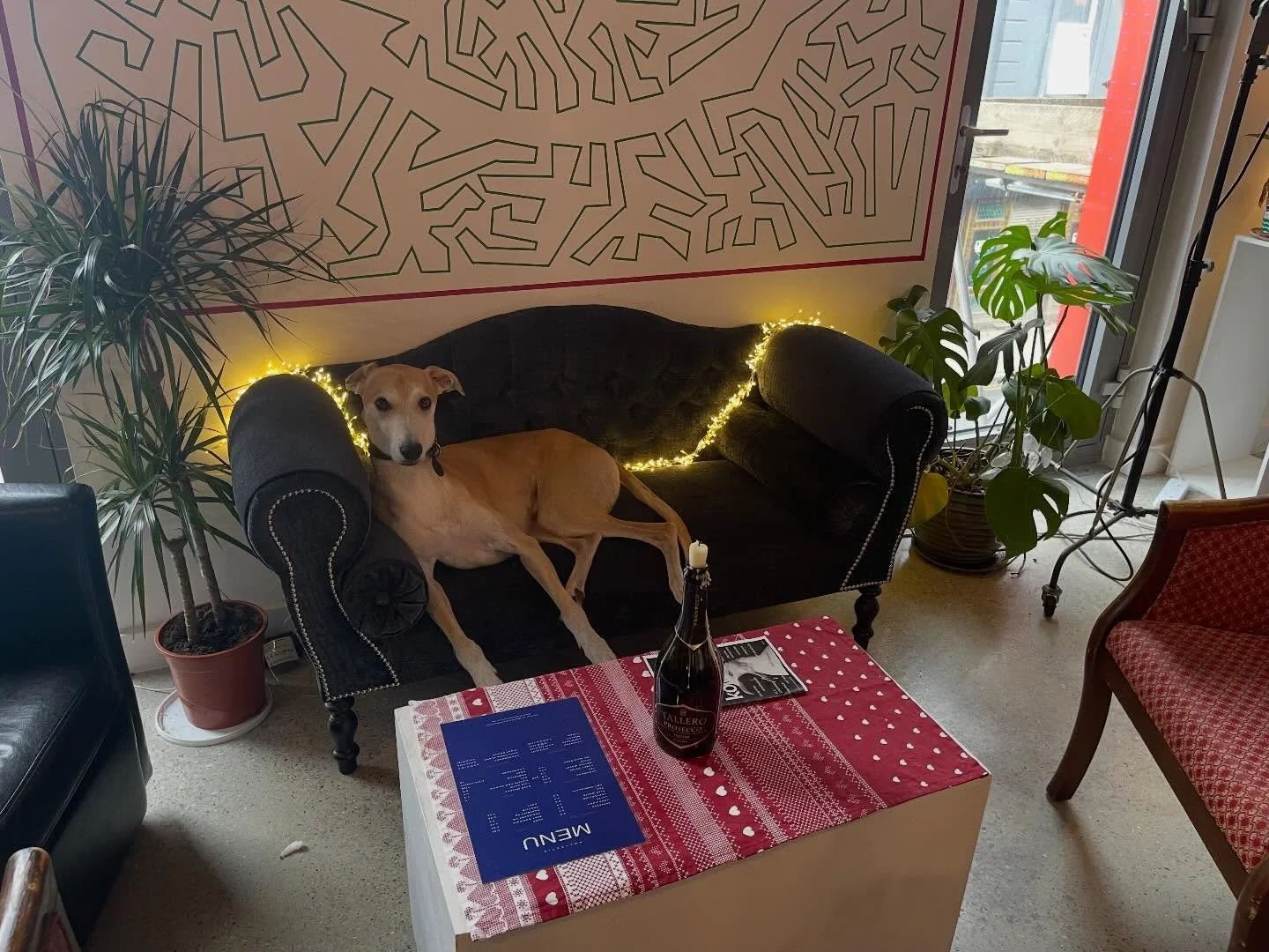 There&rsquo;s always something fun at kollectiv. We&rsquo;re open from 3pm today for coffee, wine, cake and savoury pastries. There are books in our art libraries for mind expanding moments. We&rsquo;re also preparing our next exhibition! You&rsquo;l