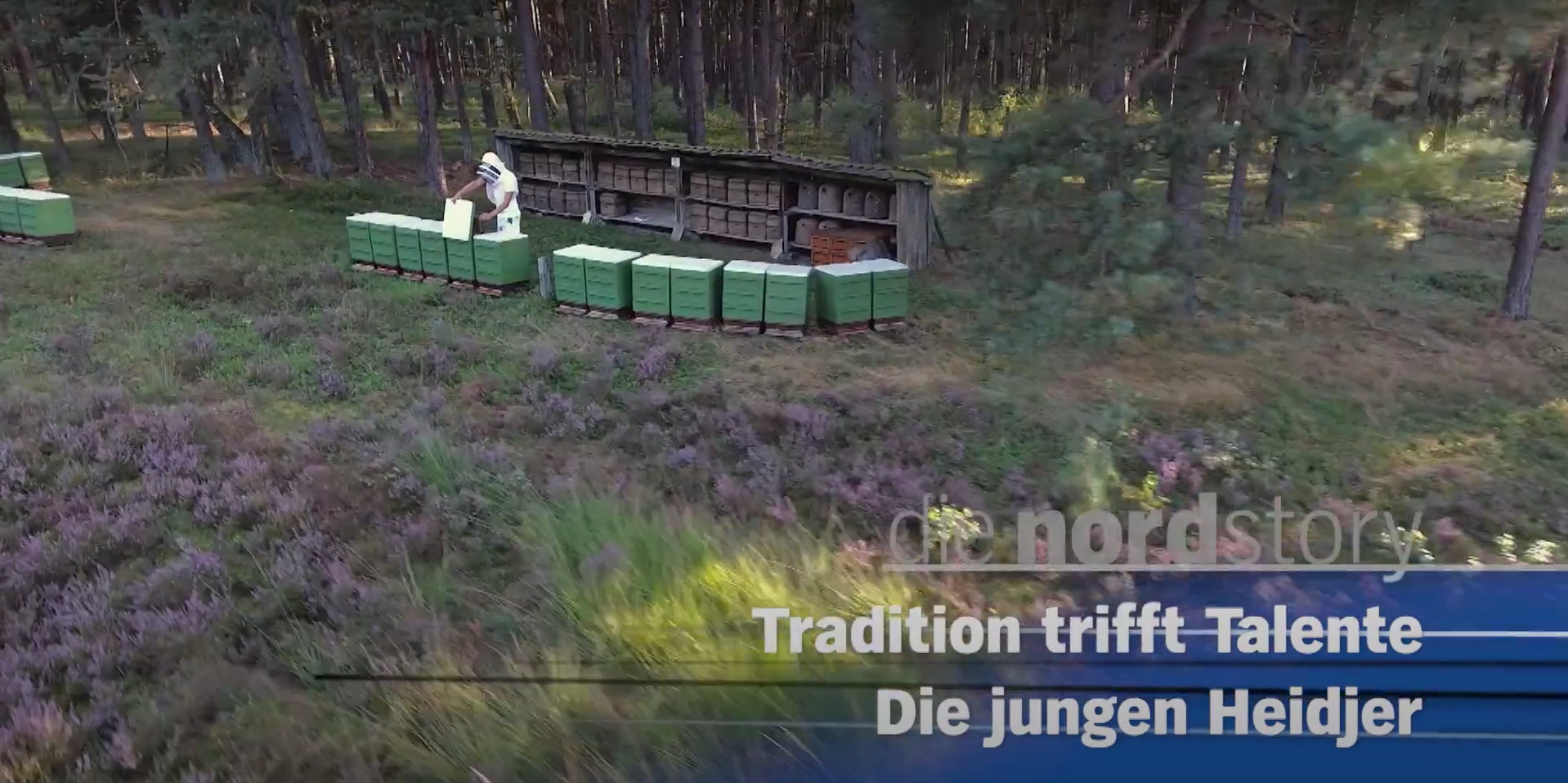 A person working with green plastic boxes outdoors near a wooden bee hive, surrounded by trees and purple flowering plants.