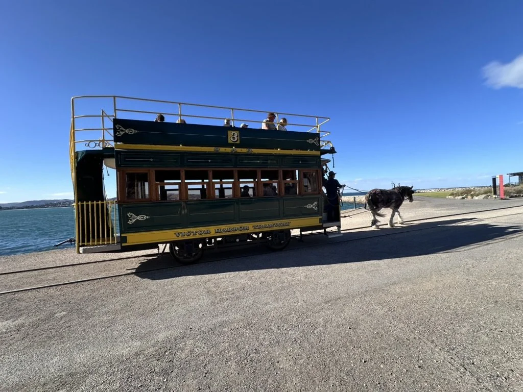Granite Island Horse Drawn Tram