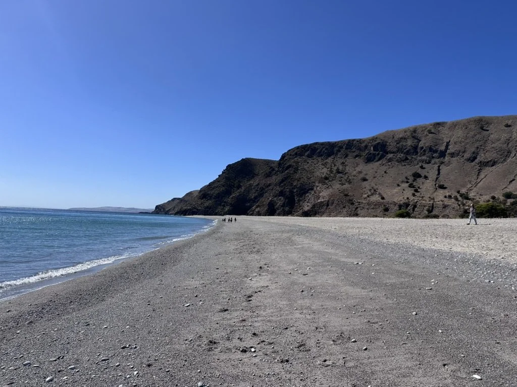 Rapid Bay