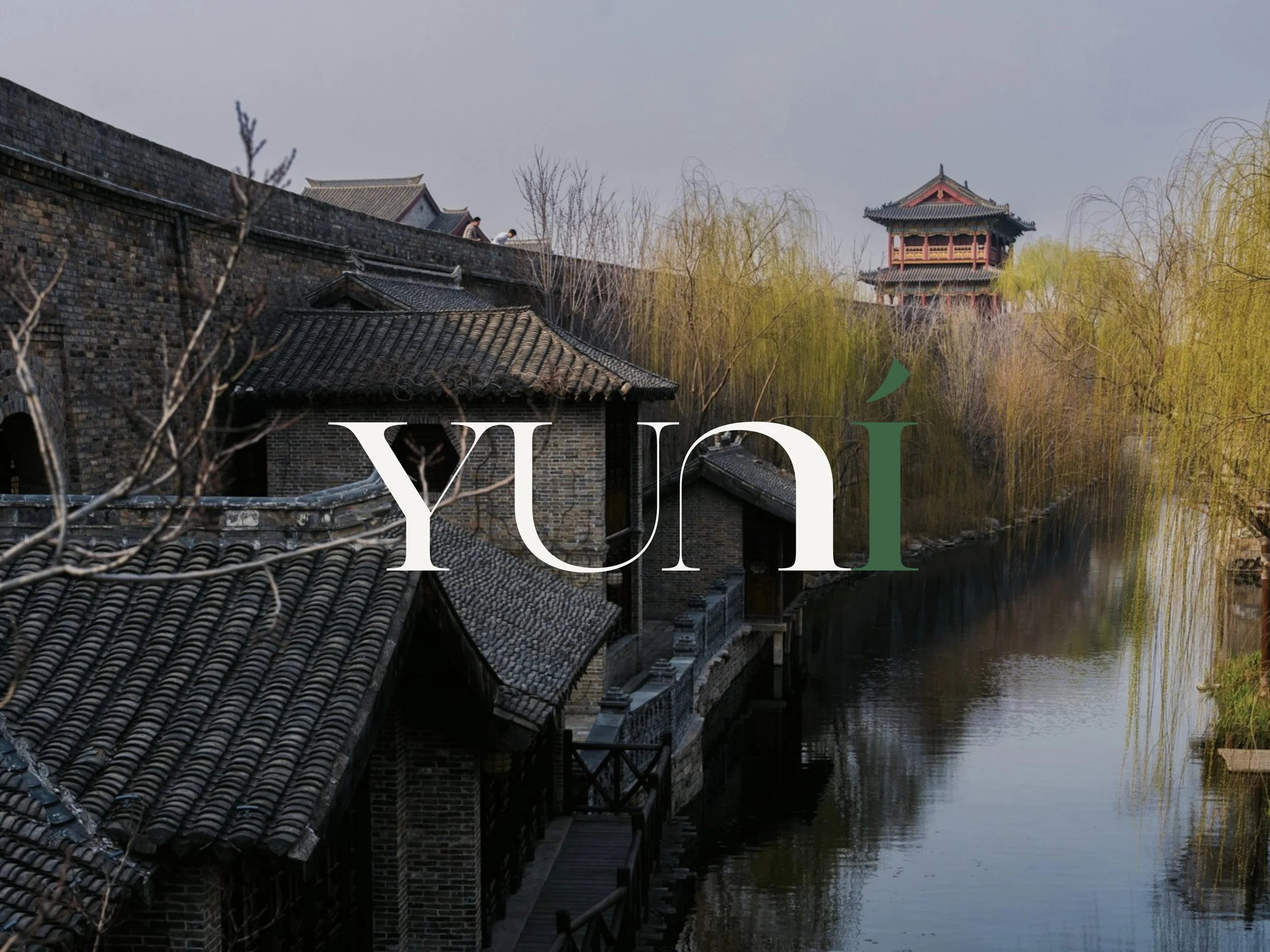 Shandong TCM Experience 2026