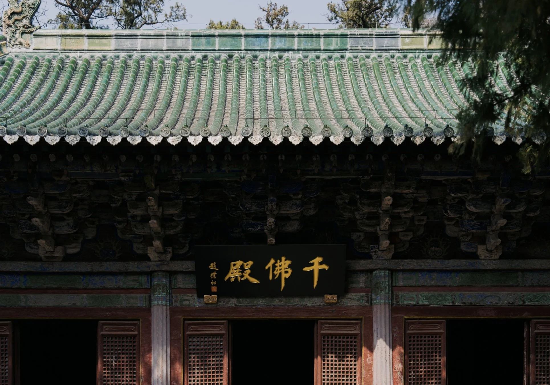 DSC08033.jpg