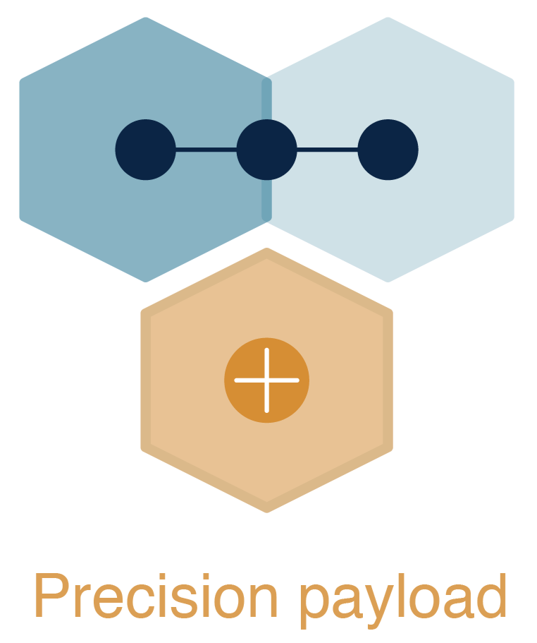 Illustration of a hexagon with connected dots and a second hexagon with a plus sign, with the text "Precision payload" underneath.