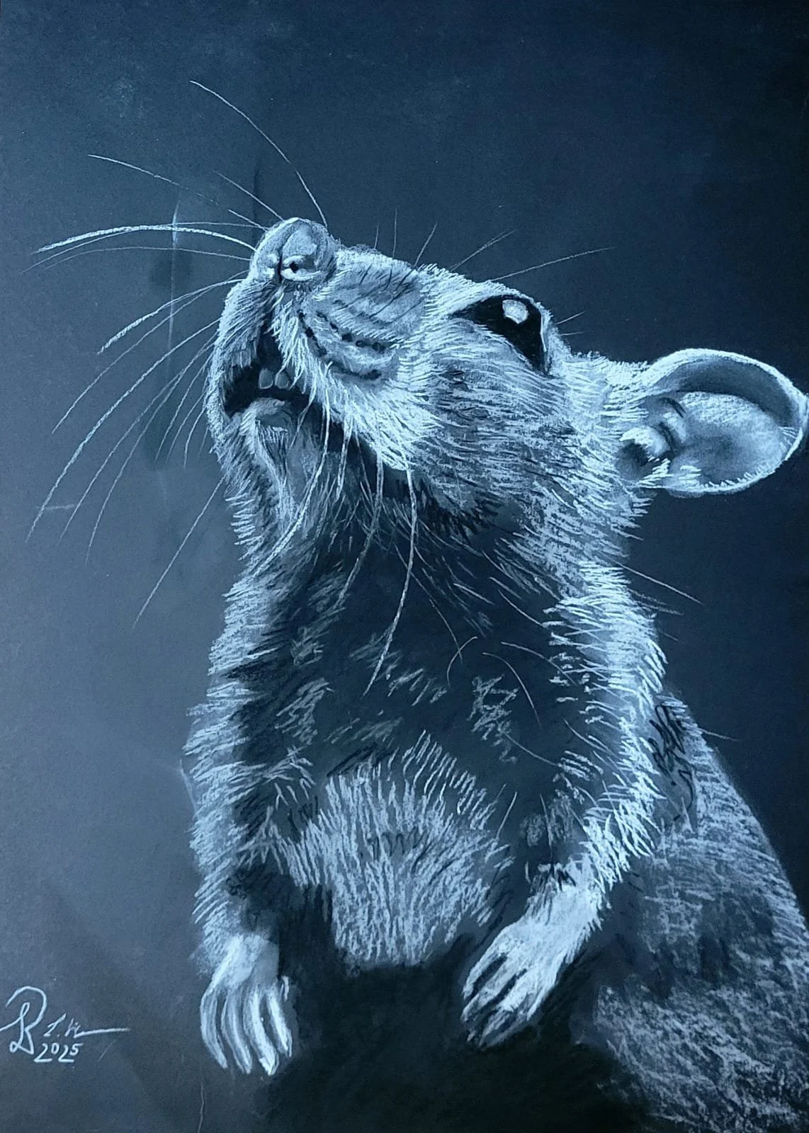 "Curiosity" - Feb 2025 - 50 x 70 cm - Pastellkreide auf Tonpapier - 200 €