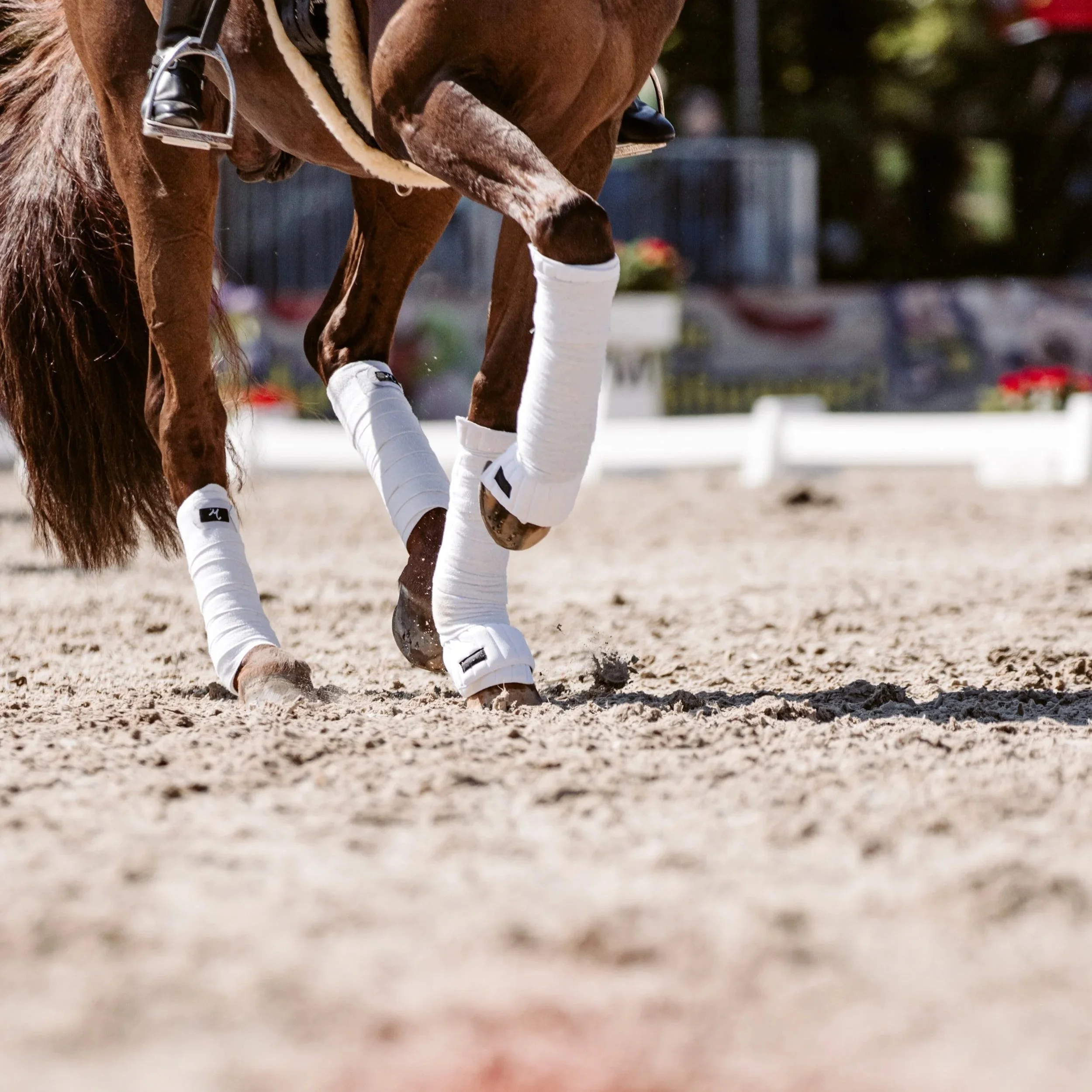 Nahaufnahme eines Pferdes mit weißen Turnschuhen beim Springreiten auf einem Sandplatz, im Hintergrund rote Blumen und eine blaue Absperrung.