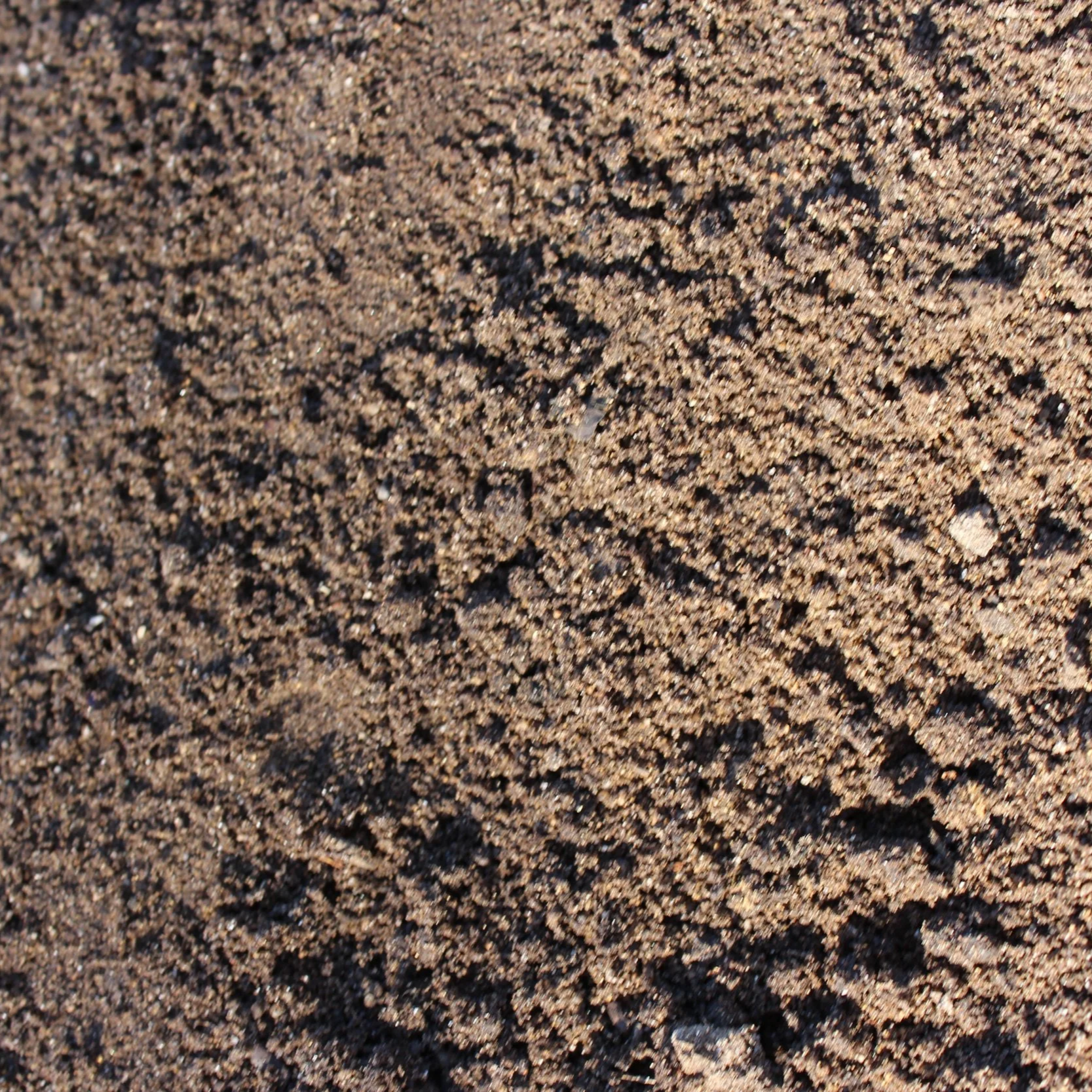 Nahaufnahme von Sandkörnern am Strand.