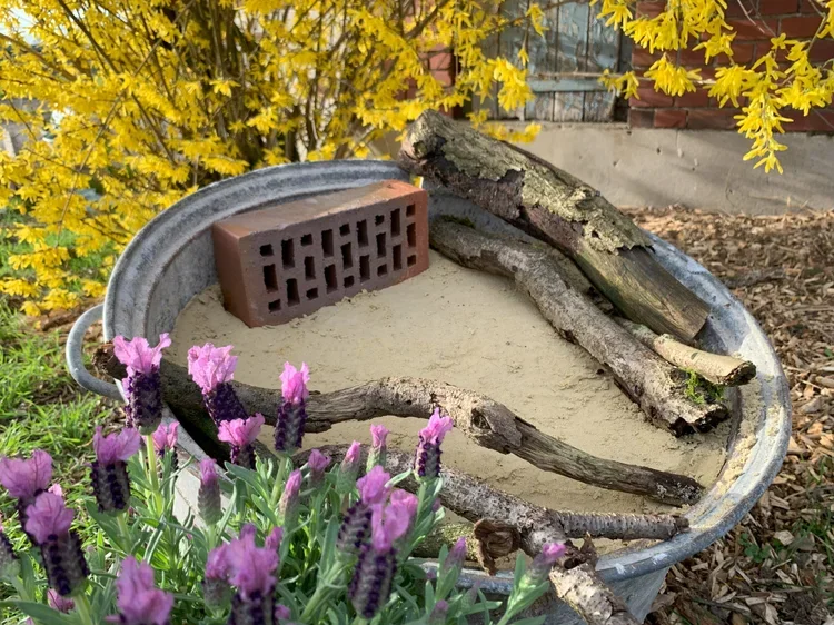 Ein großes, runden Metallbad, das mit Sand gefüllt ist, im Garten. Es ist umgeben von Lavendel und gelben Blumen. Im Inneren liegen einige Holzstücke und eine Ziegelstein.