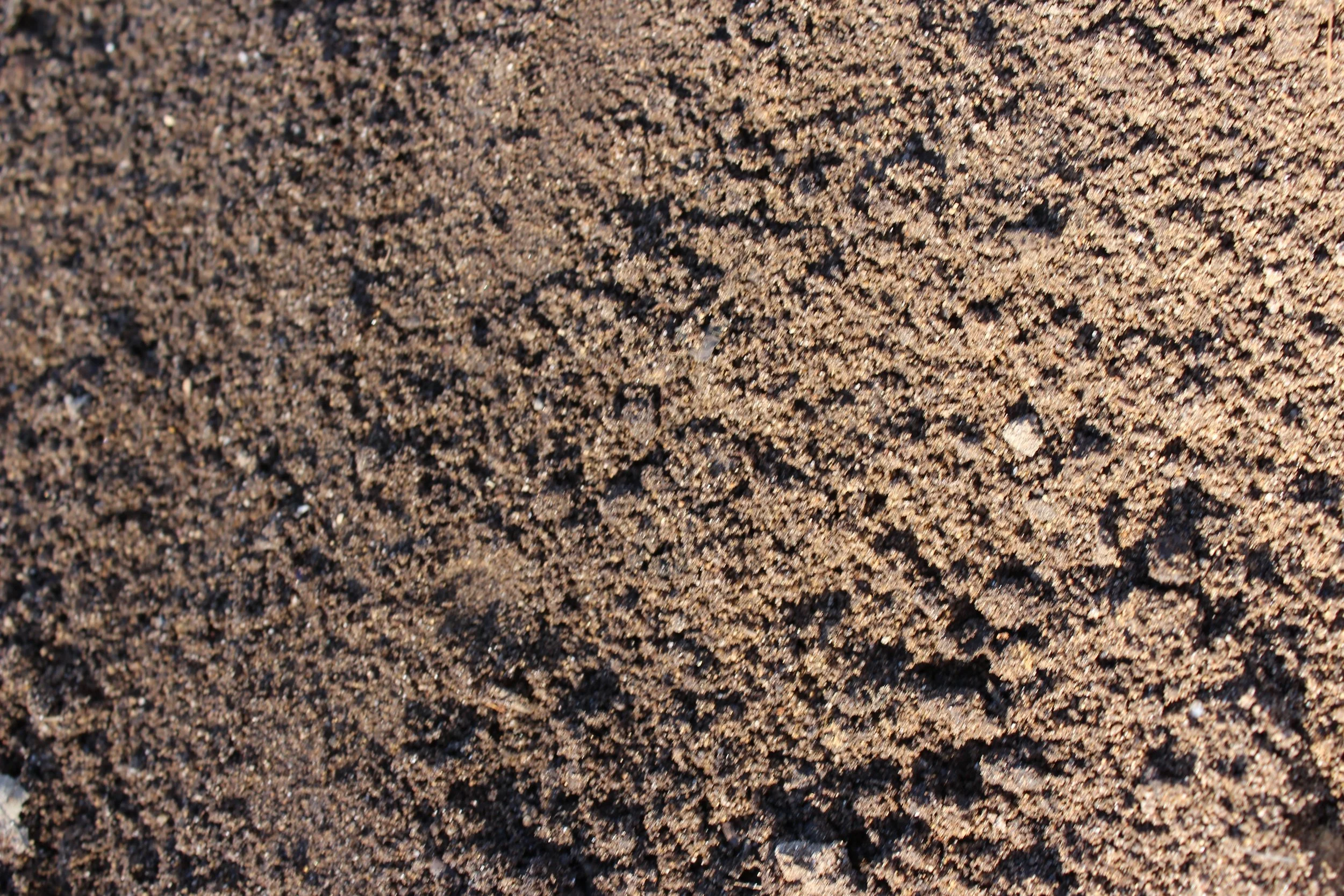 Nahaufnahme von Sand auf dem Boden mit kleinen Steinen und Perlmuttsplittern.