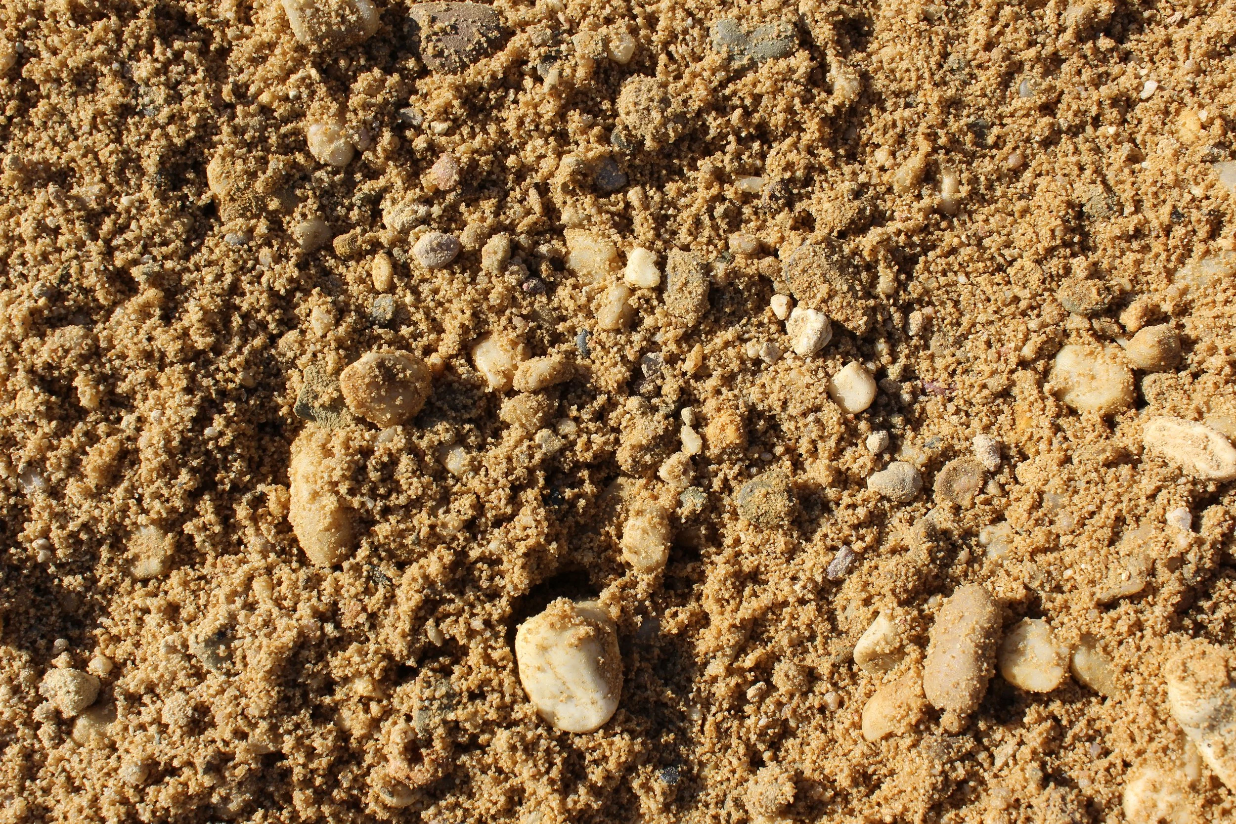 Nahaufnahme von Sand mit kleinen Steinen und Muschelschalen