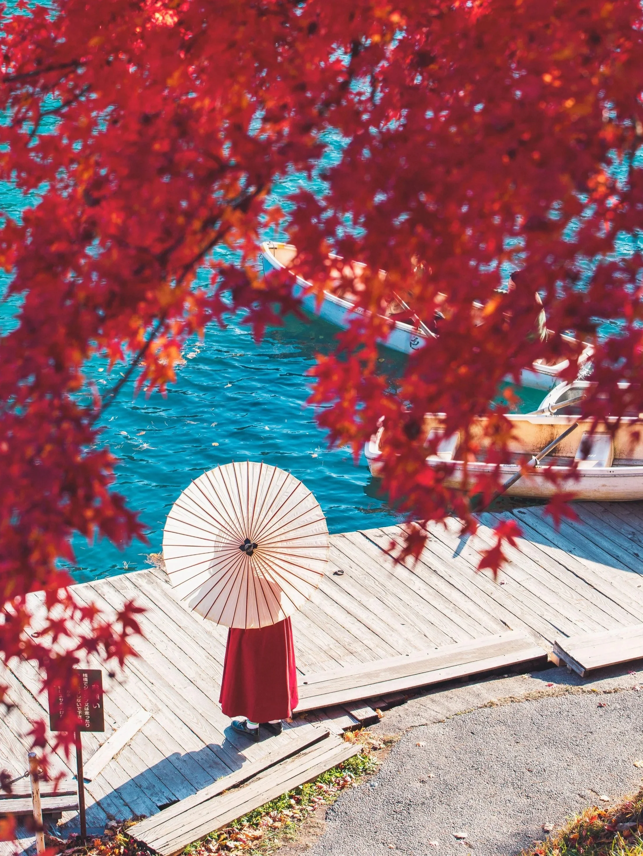 When Is the Best Time to Visit Japan? A Season-by-Season Guide (2026)