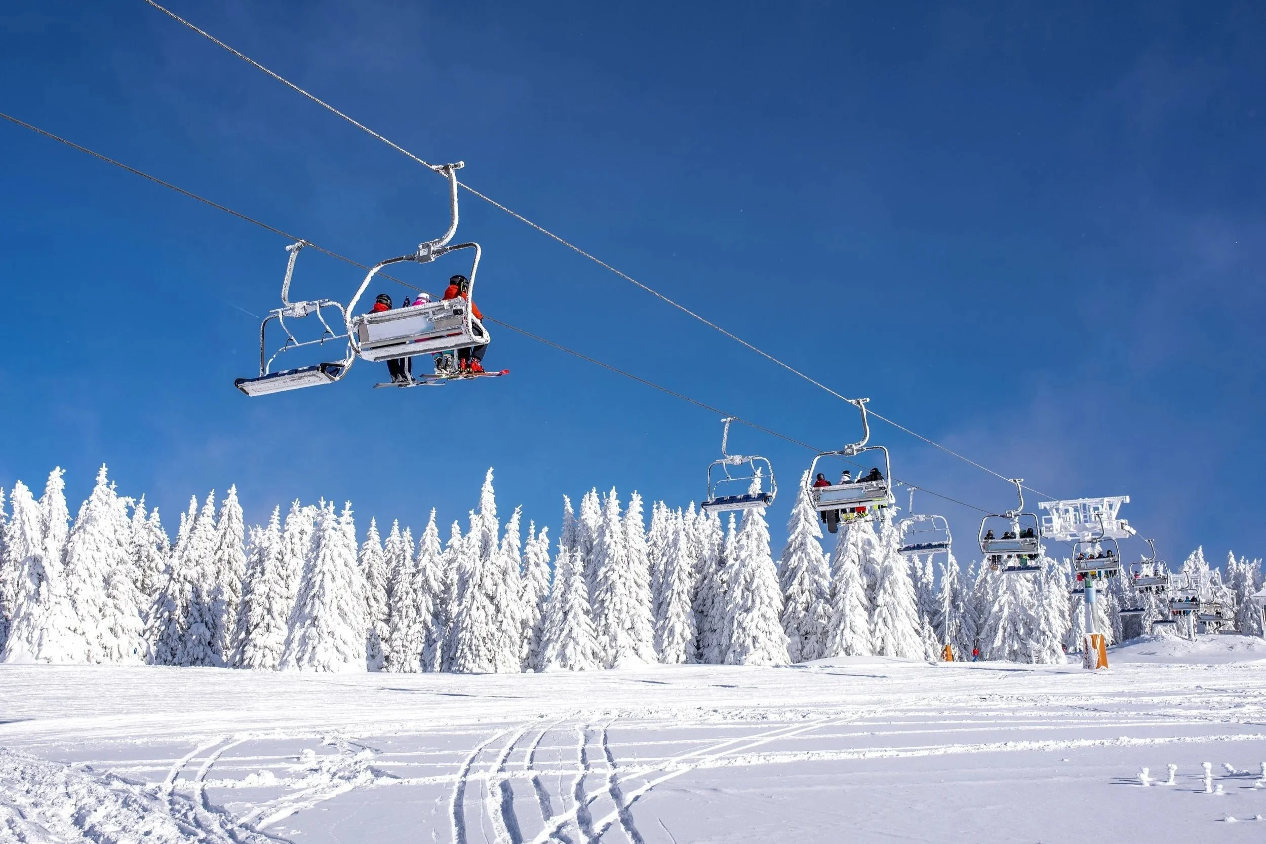 Snow covered landscape in Japan winter — Japan ski and snow travel guide by a.o.mi collective