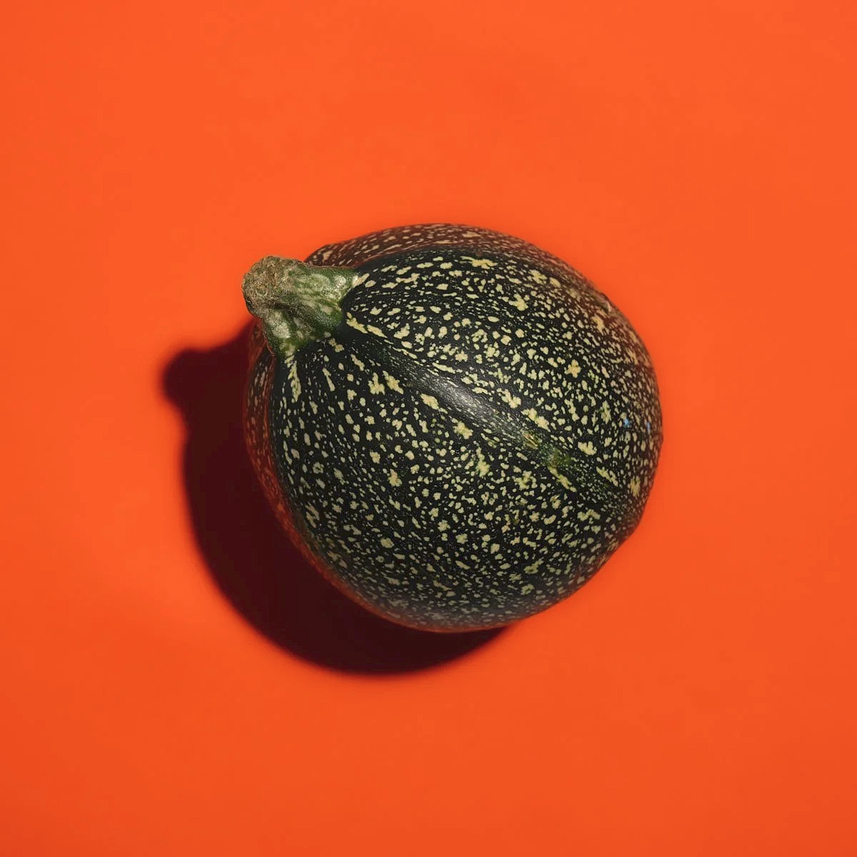 _DSC5912.png