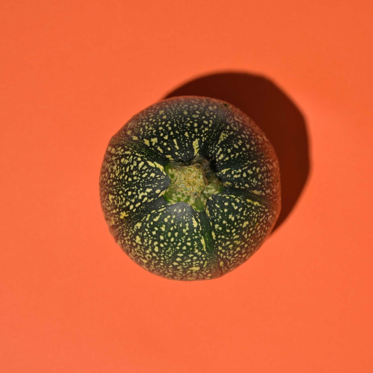 _DSC5910_1.jpg