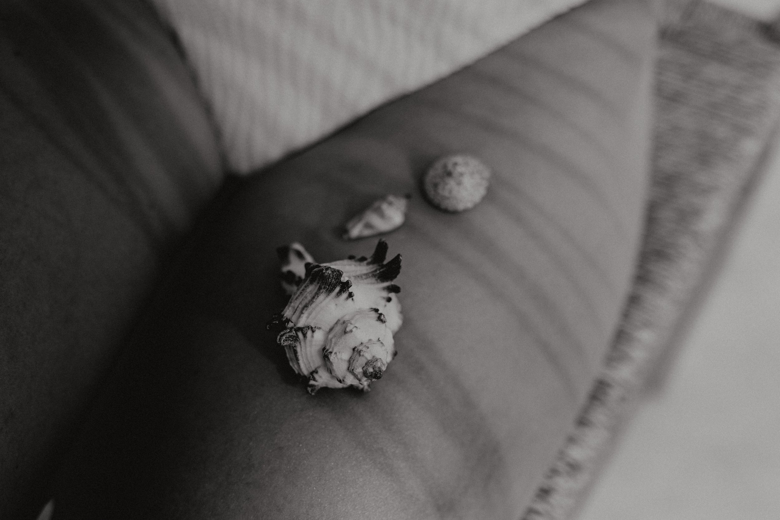 kaboompics_shells-legs-32387.jpg