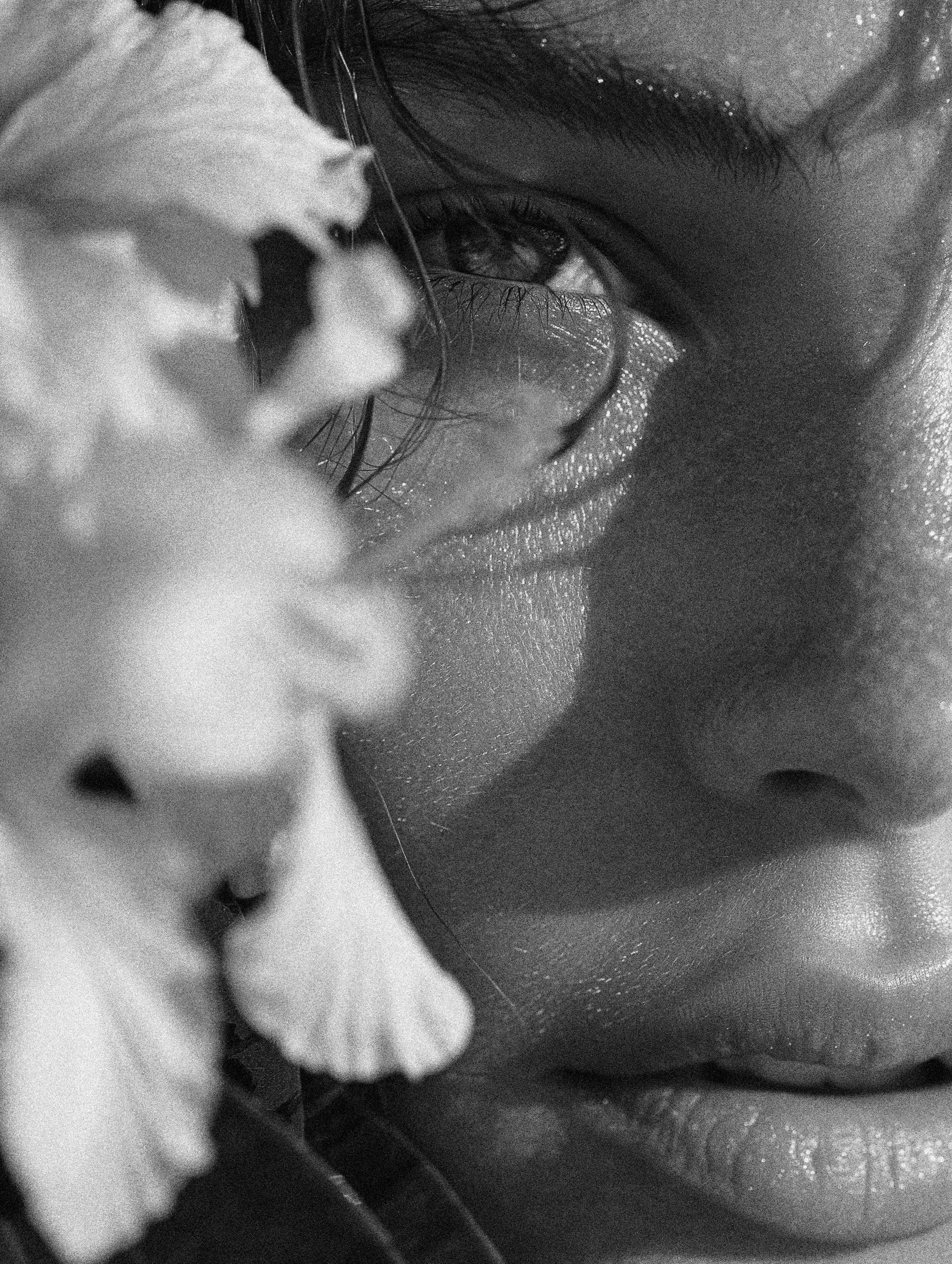 Close-up black-and-white photo of a person's eye with a flower petal near the eyelashes.