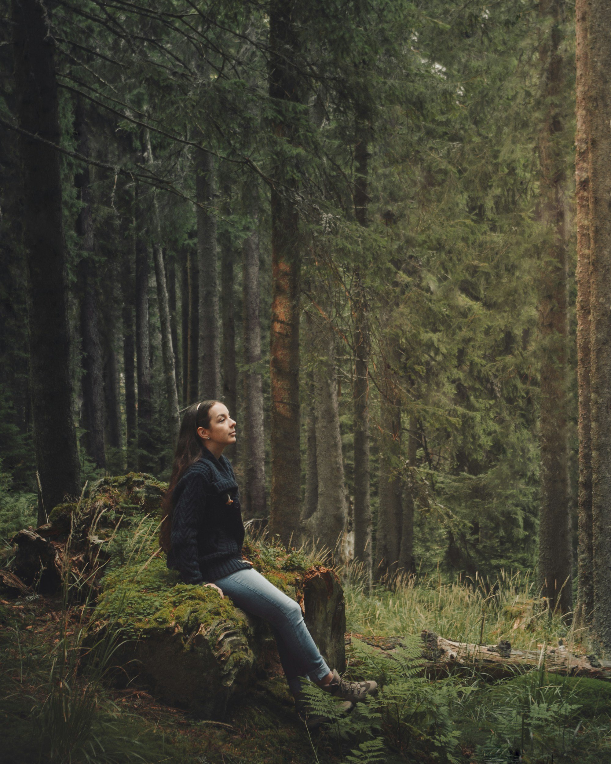 Natuurcoaching - wat de natuur voor je kan doen