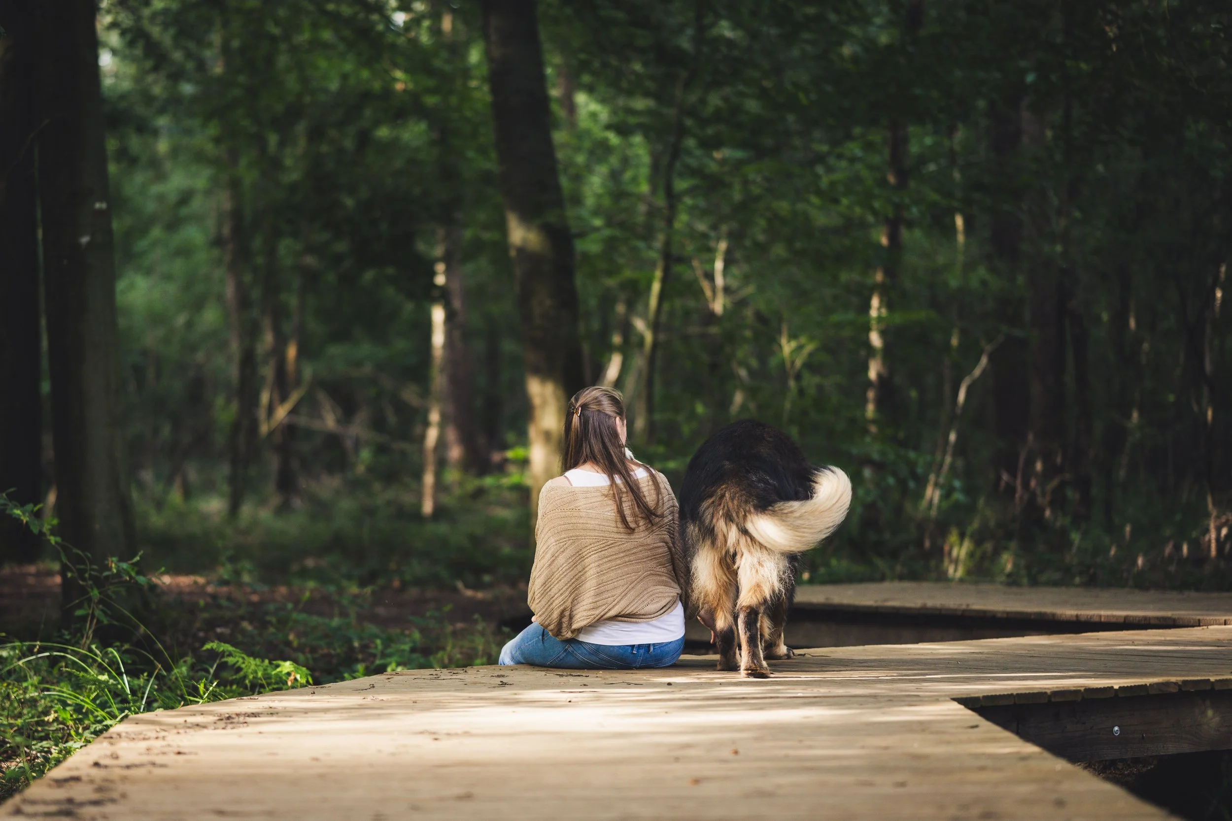 Jij en je hond - speuren naar mogelijkheden