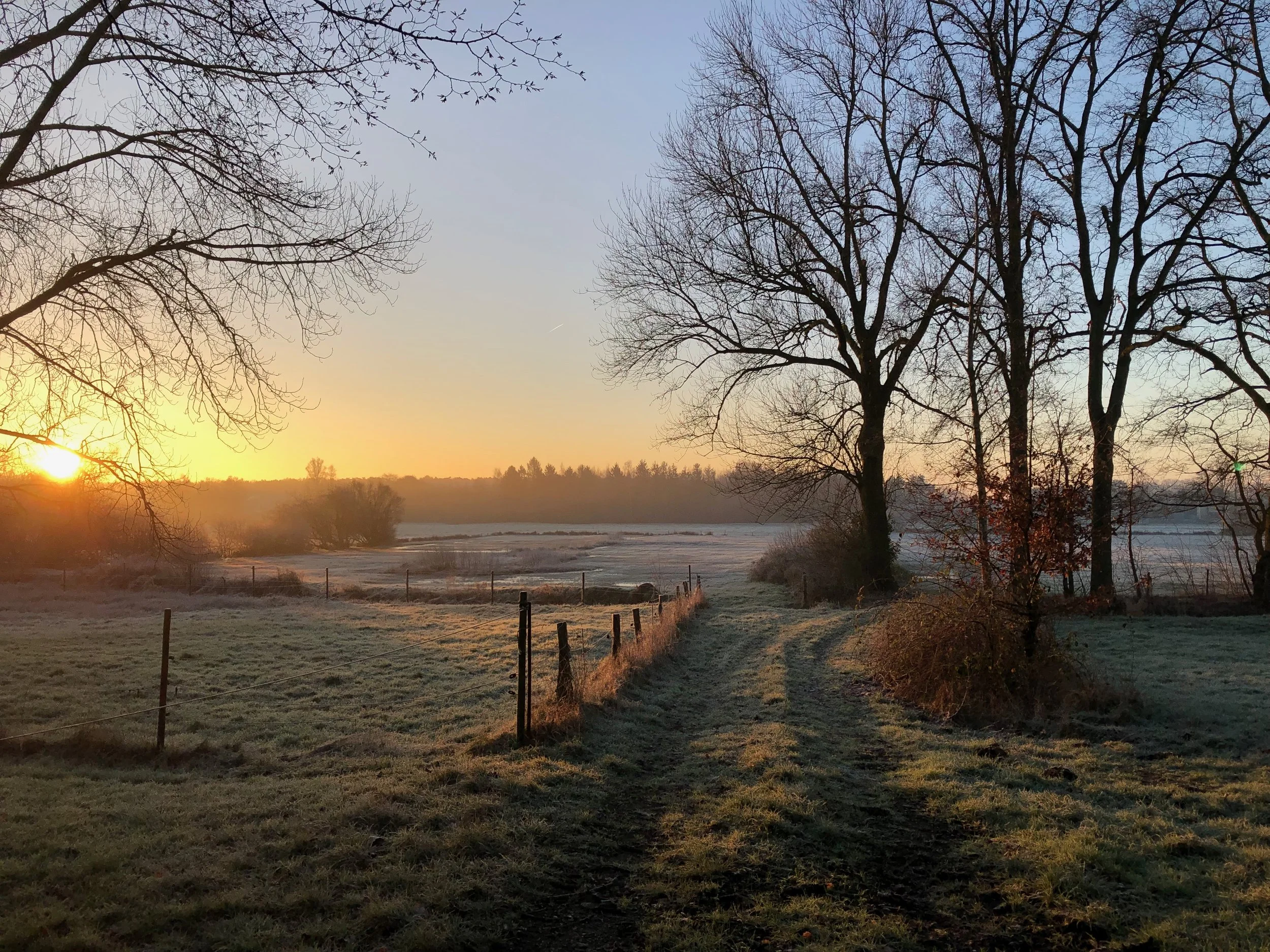 Welkom - een plek waar je kan vertragen, verbinden en terugkeren naar jouw natuur.