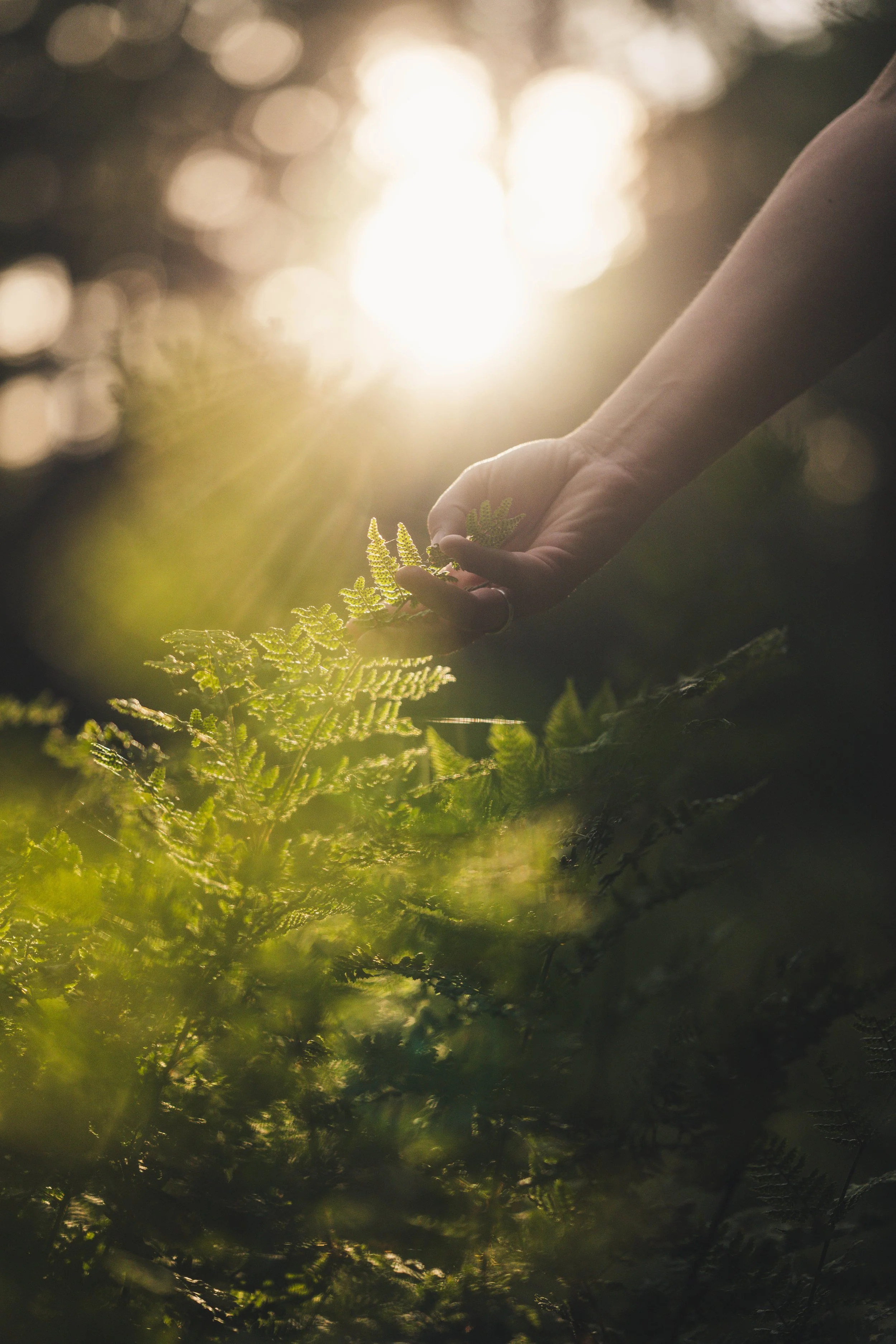 Natuurcoaching in het bos- speuren naar mogelijkheden