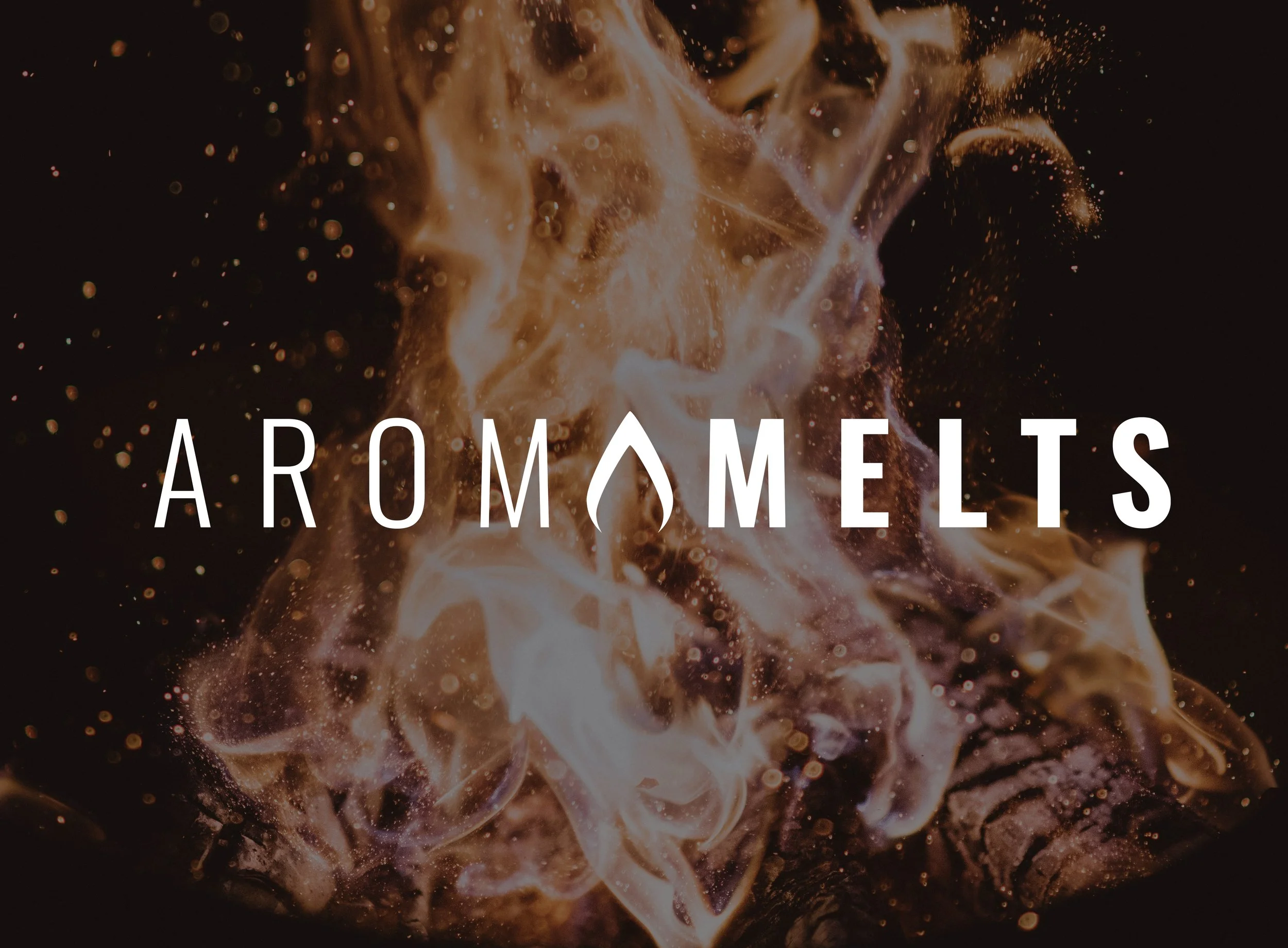 ARMOMELTS LOGO.jpg