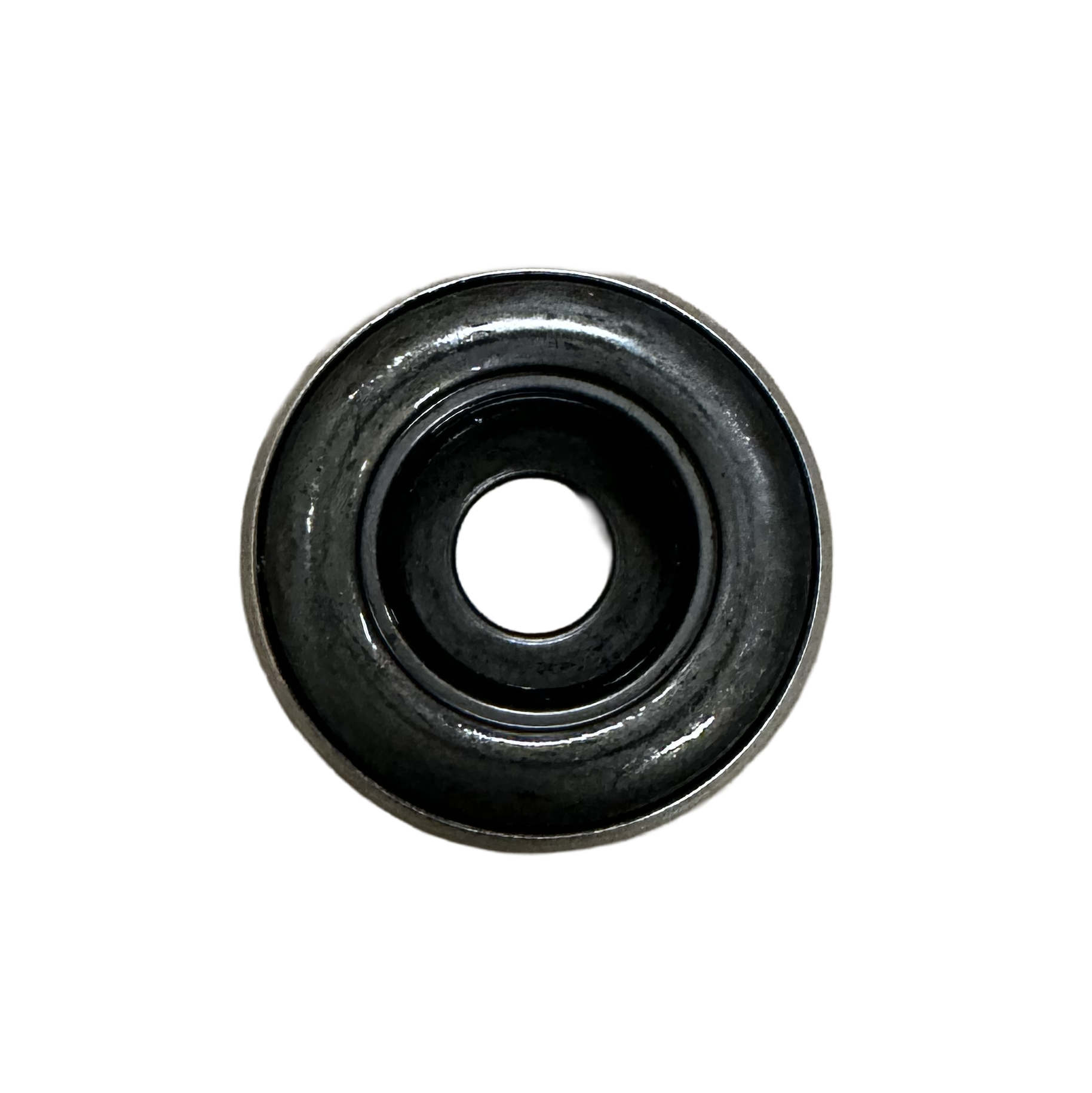 IMG_5769.png