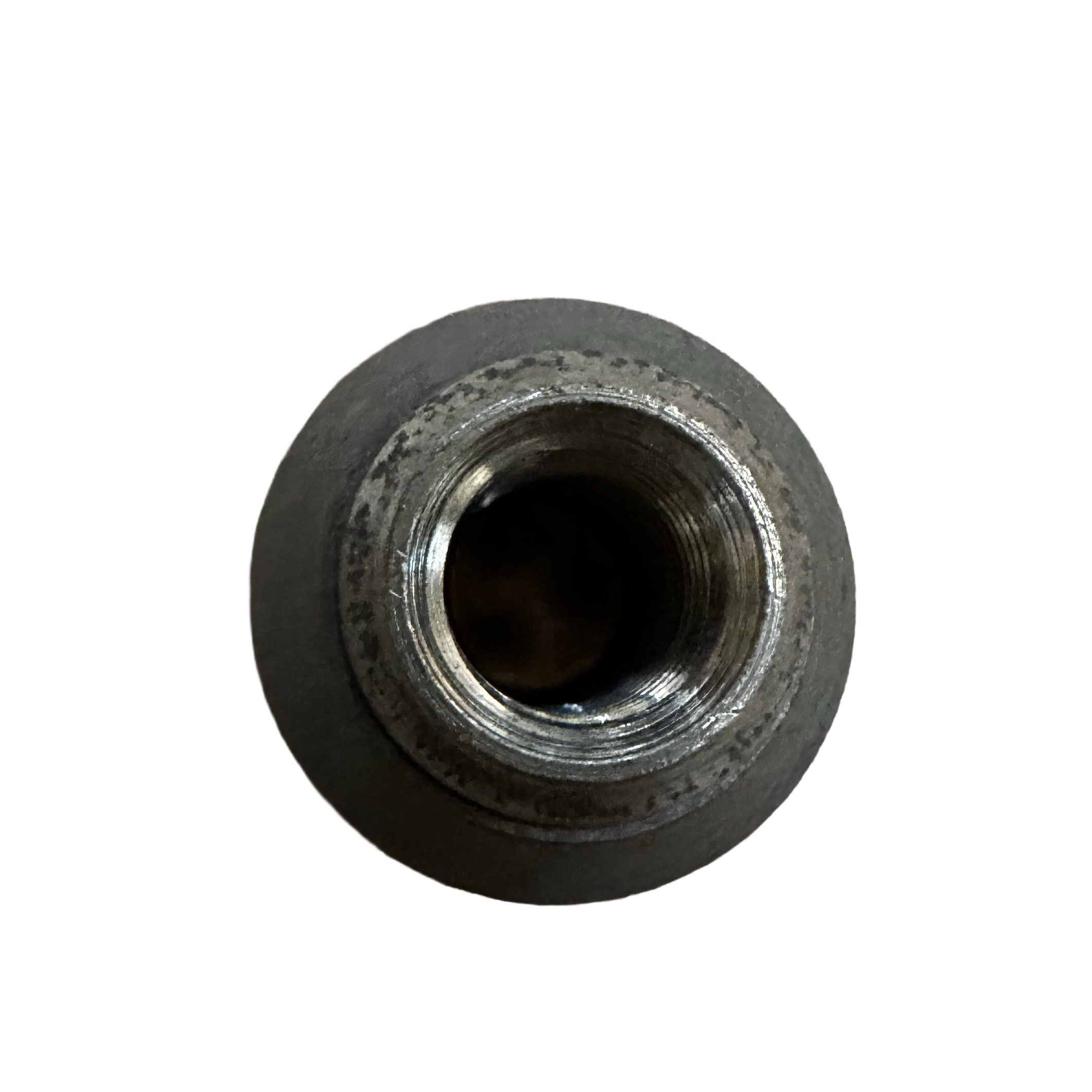 IMG_5313.png
