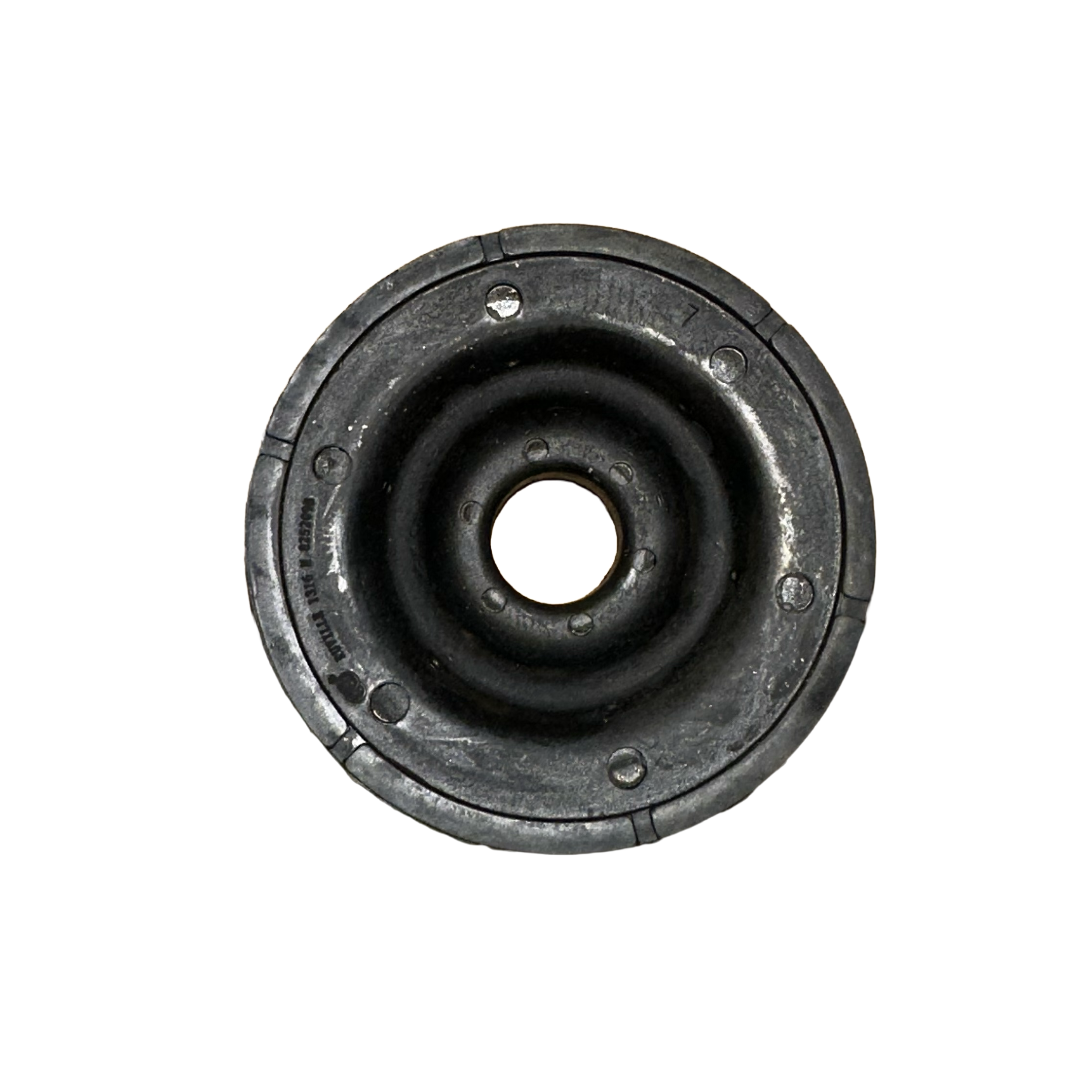 IMG_5730 (1).png