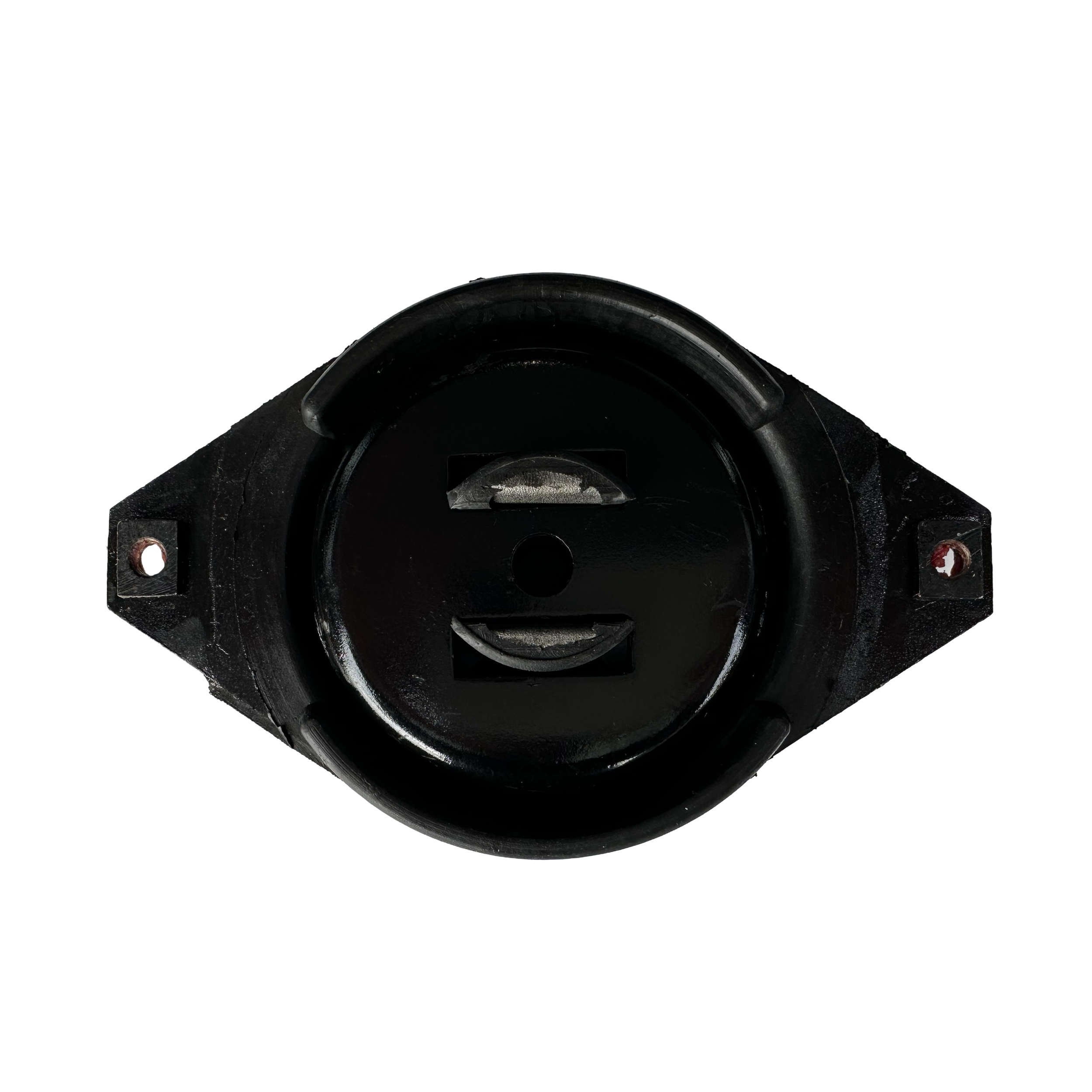 IMG_0231 (1).png