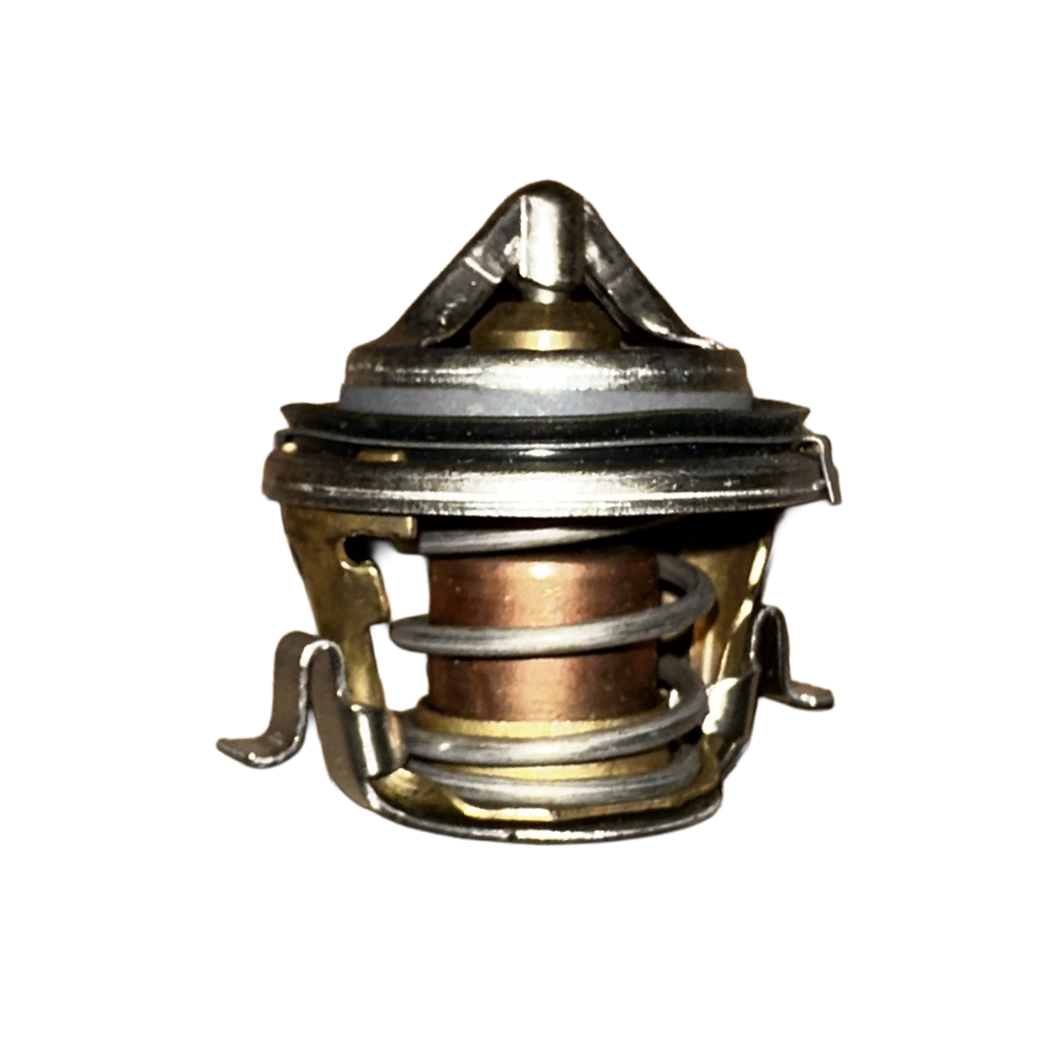 IMG_5755.png