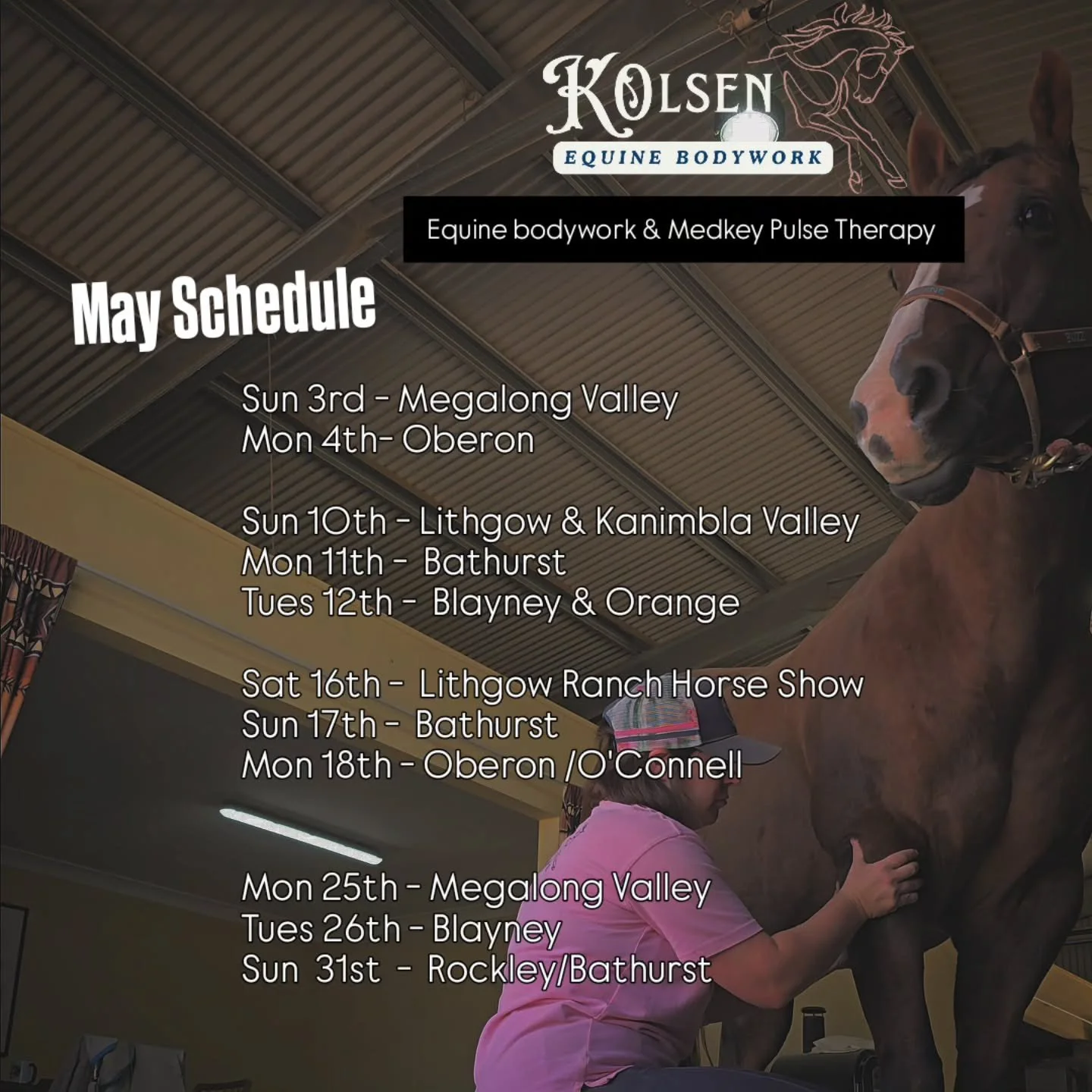 Equine bodywork, massage &amp; Medkey Impulse Therapy for horses in all stages of life. 

Medkey Pulse Therapy also available for riders/people with chronic and new pain complaints, post-surgury recovery &amp;  back/shoulder/neck pain issues. 

For o